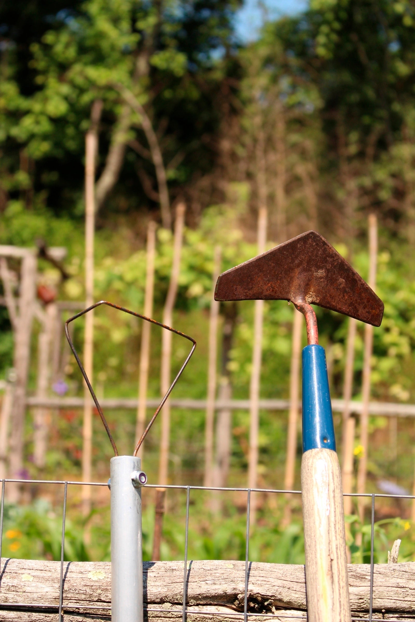 Gardening-In Praise of The Hoe