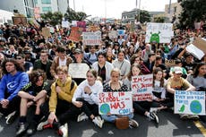 New Zealand Greta Thunberg-linked climate group disbands itself for being ‘racist white-dominated space’