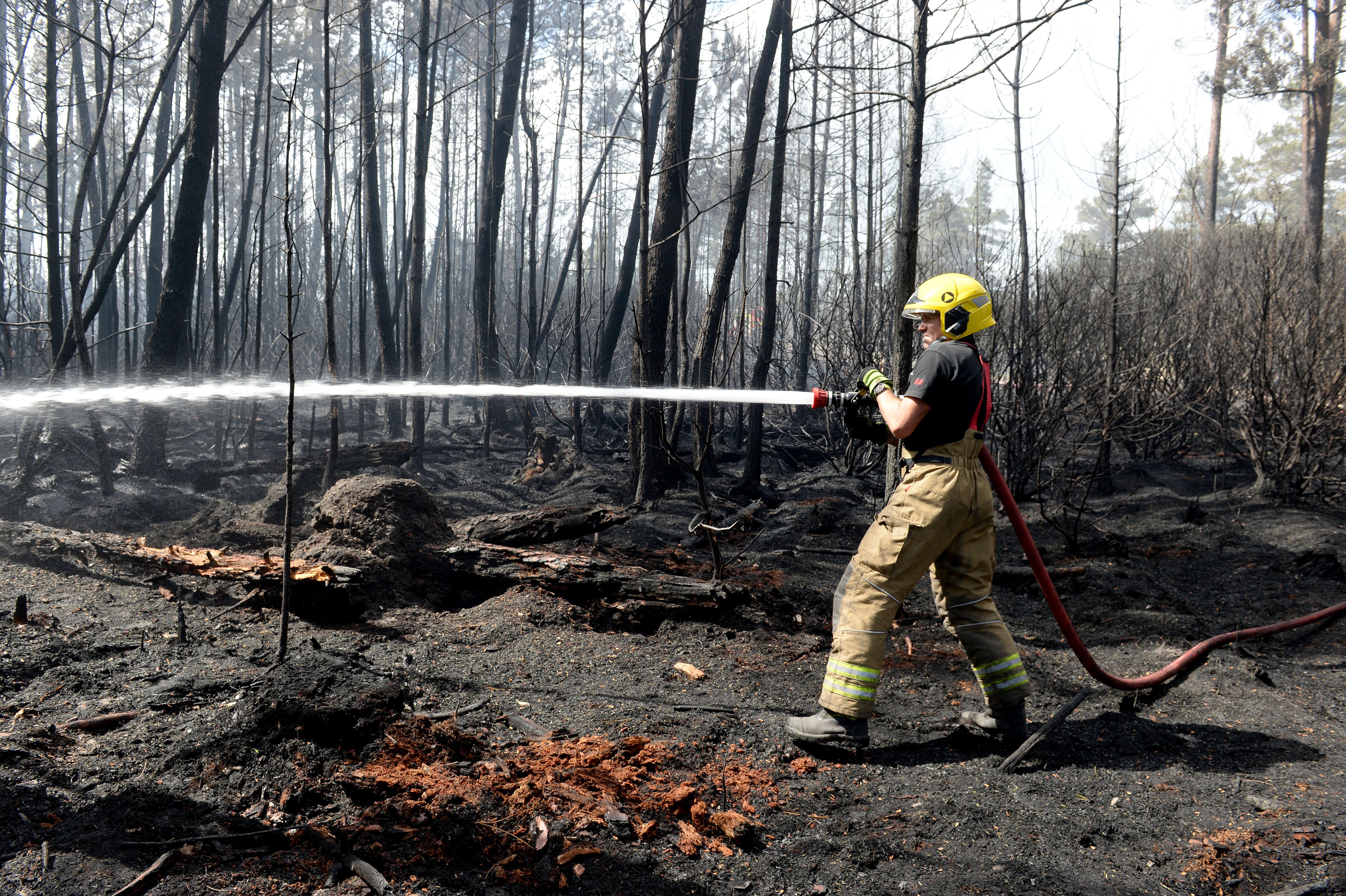 Worsening extreme weather events pose a risk to the UK’s carbon-rich ecosystems