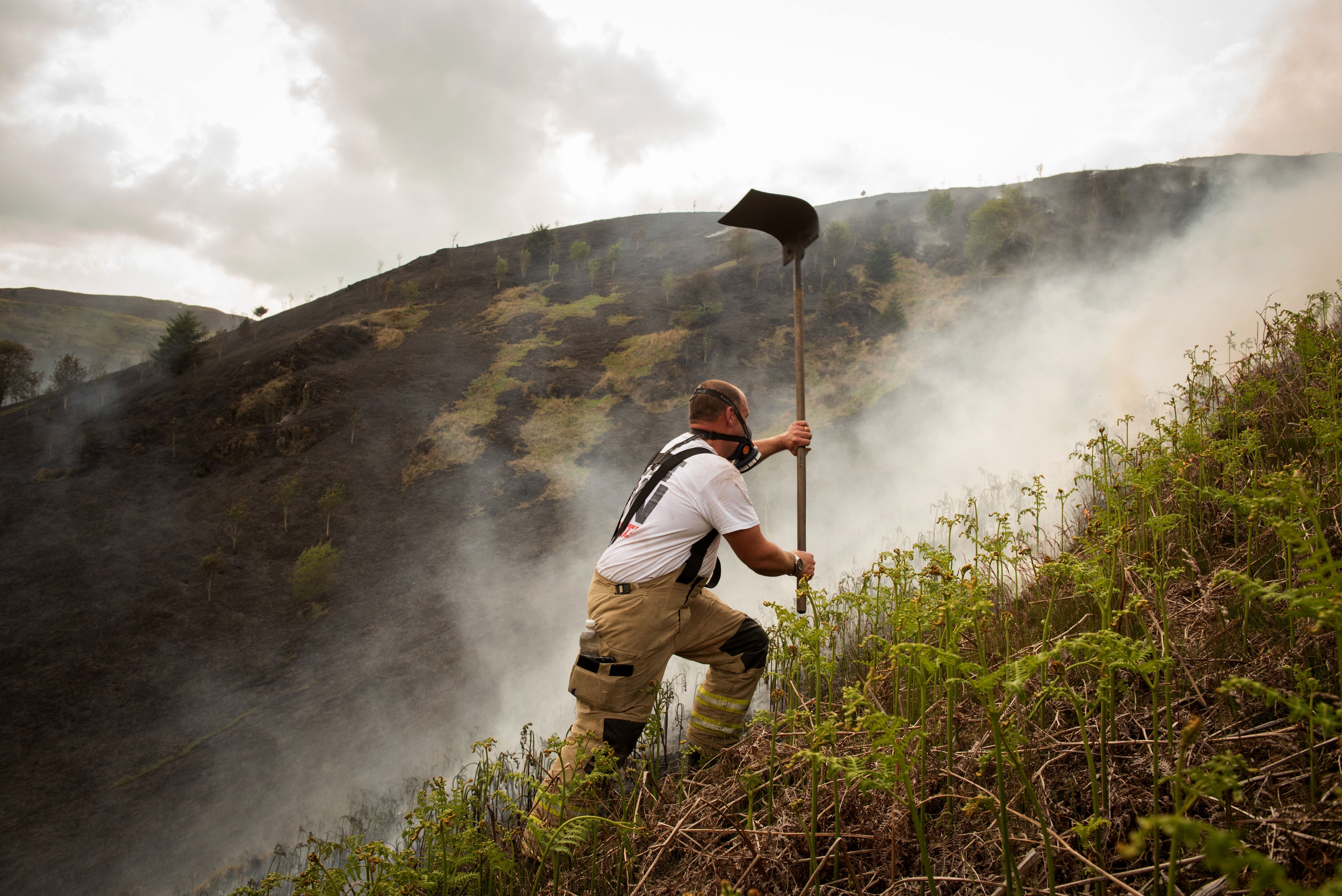 Wildfires are more frequent on a warming planet, and also exacerbate the problem