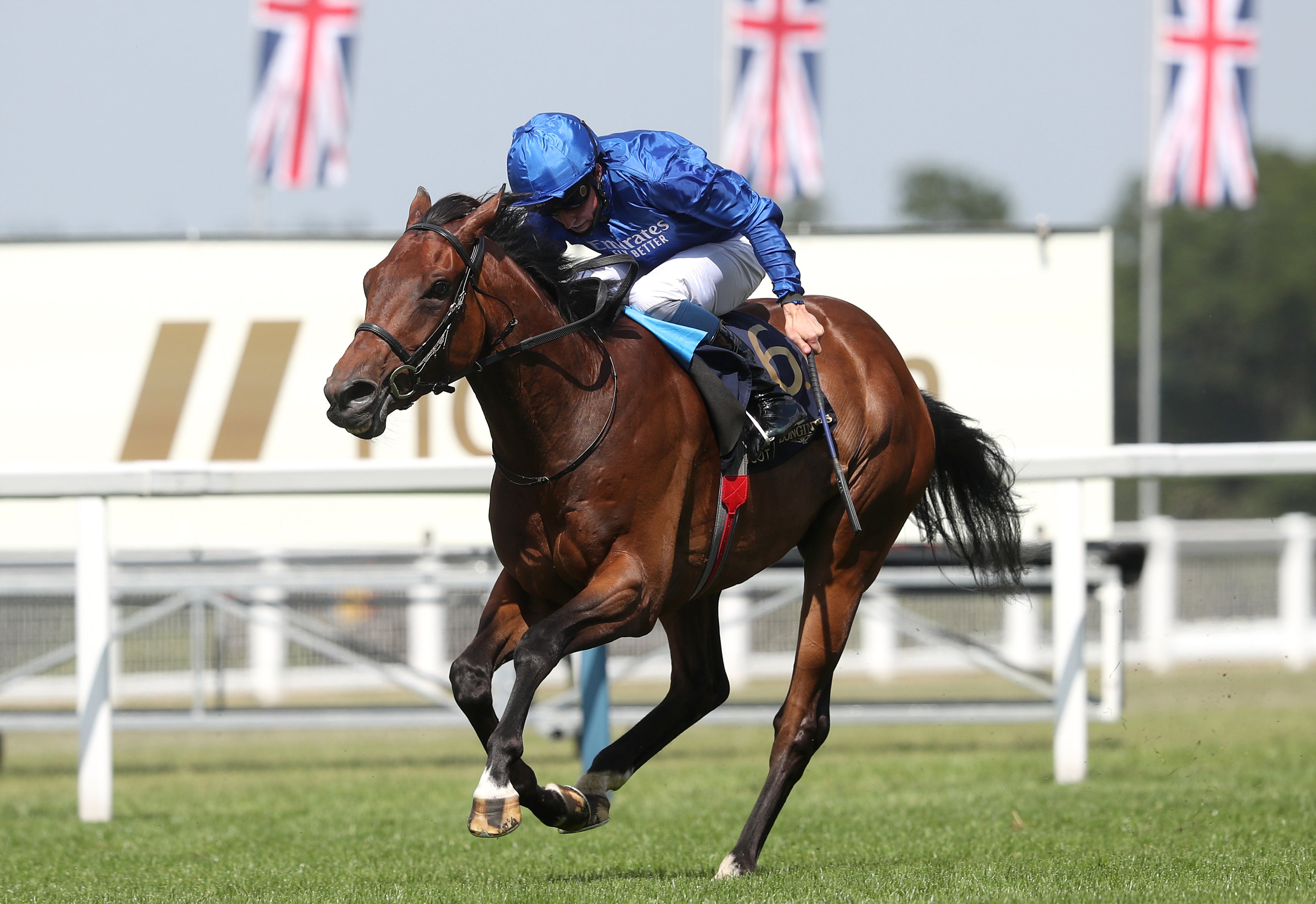 Kemari and William Buick won the Queen’s Vase at Royal Ascot