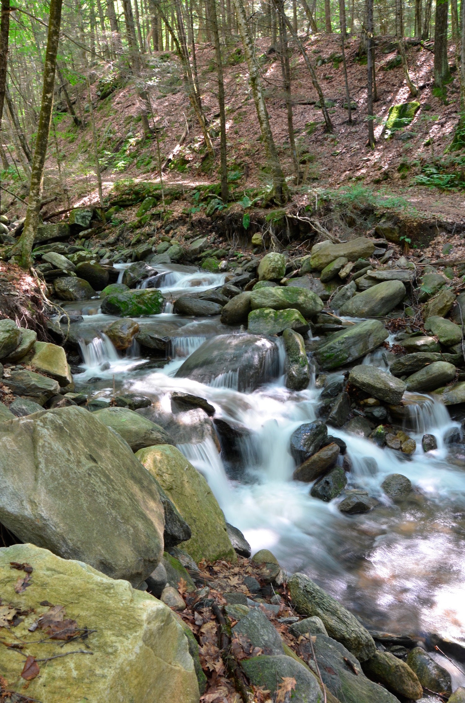 Racial Injustice River Name Change