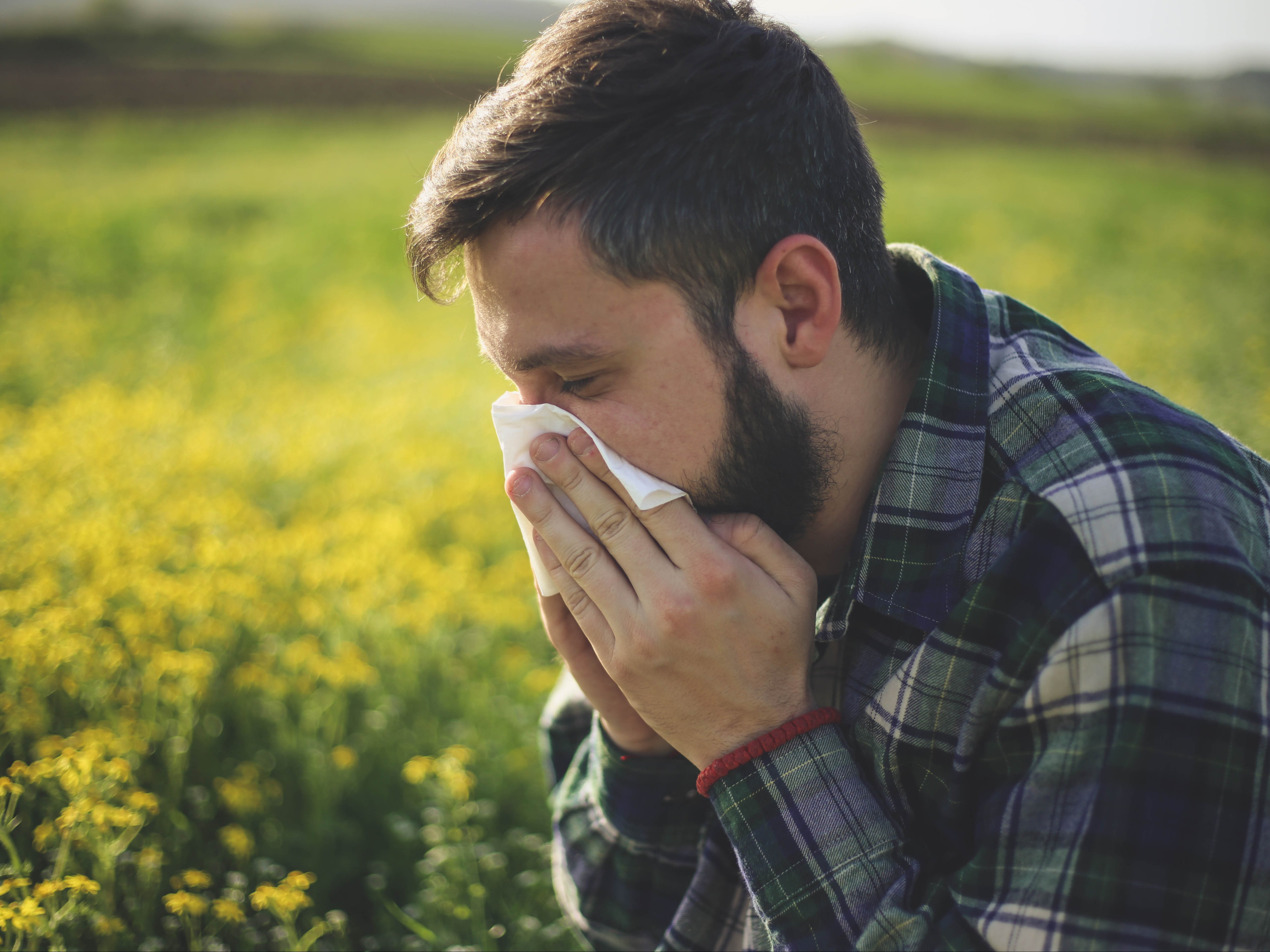 High pollen count has been forecast for the UK this week