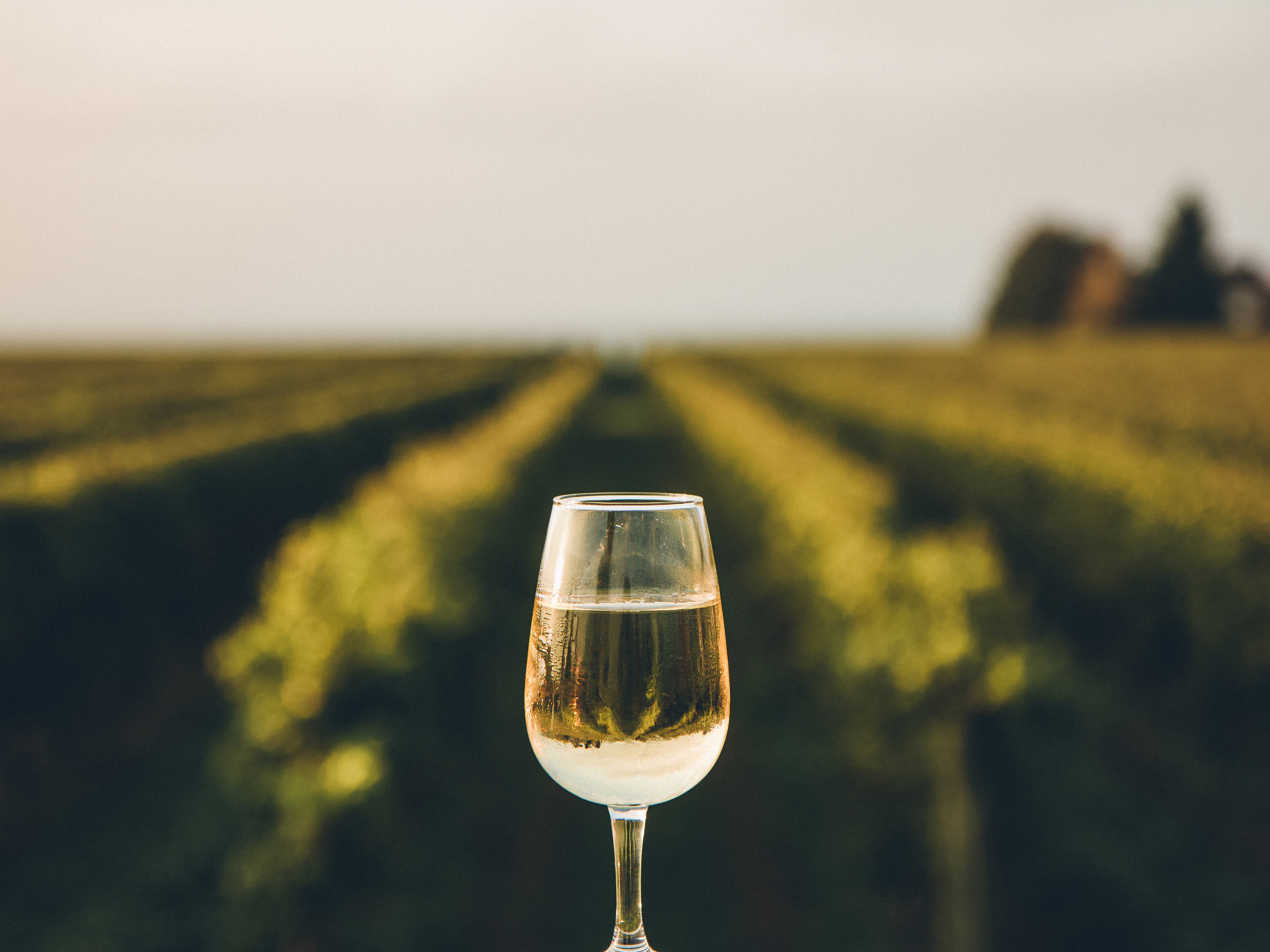 A rare dessert wine produced from the juice of naturally frozen grapes that have been picked in the middle of a cold Canadian winter