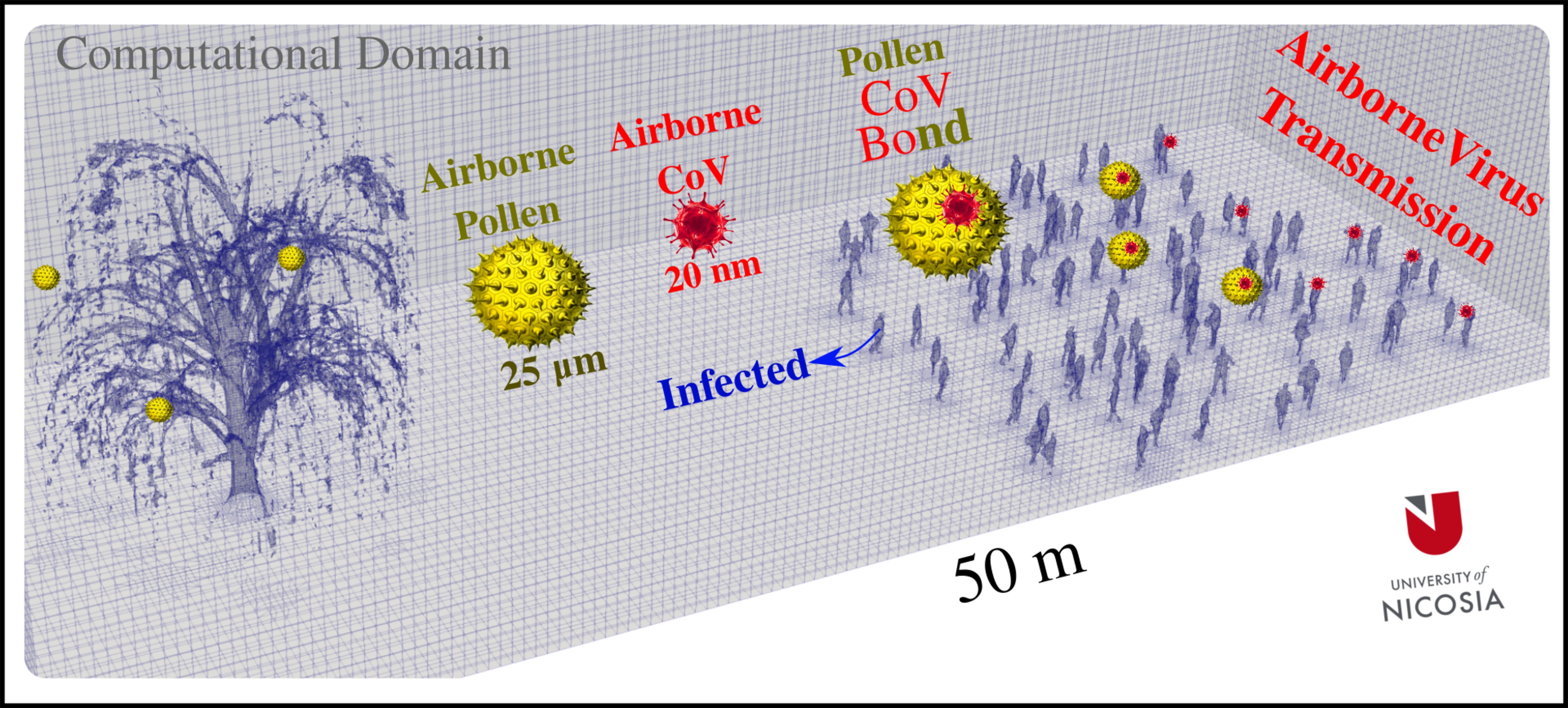 The researchers’ computational model predicted a correlation between airborne pollen and coronavirus transmission