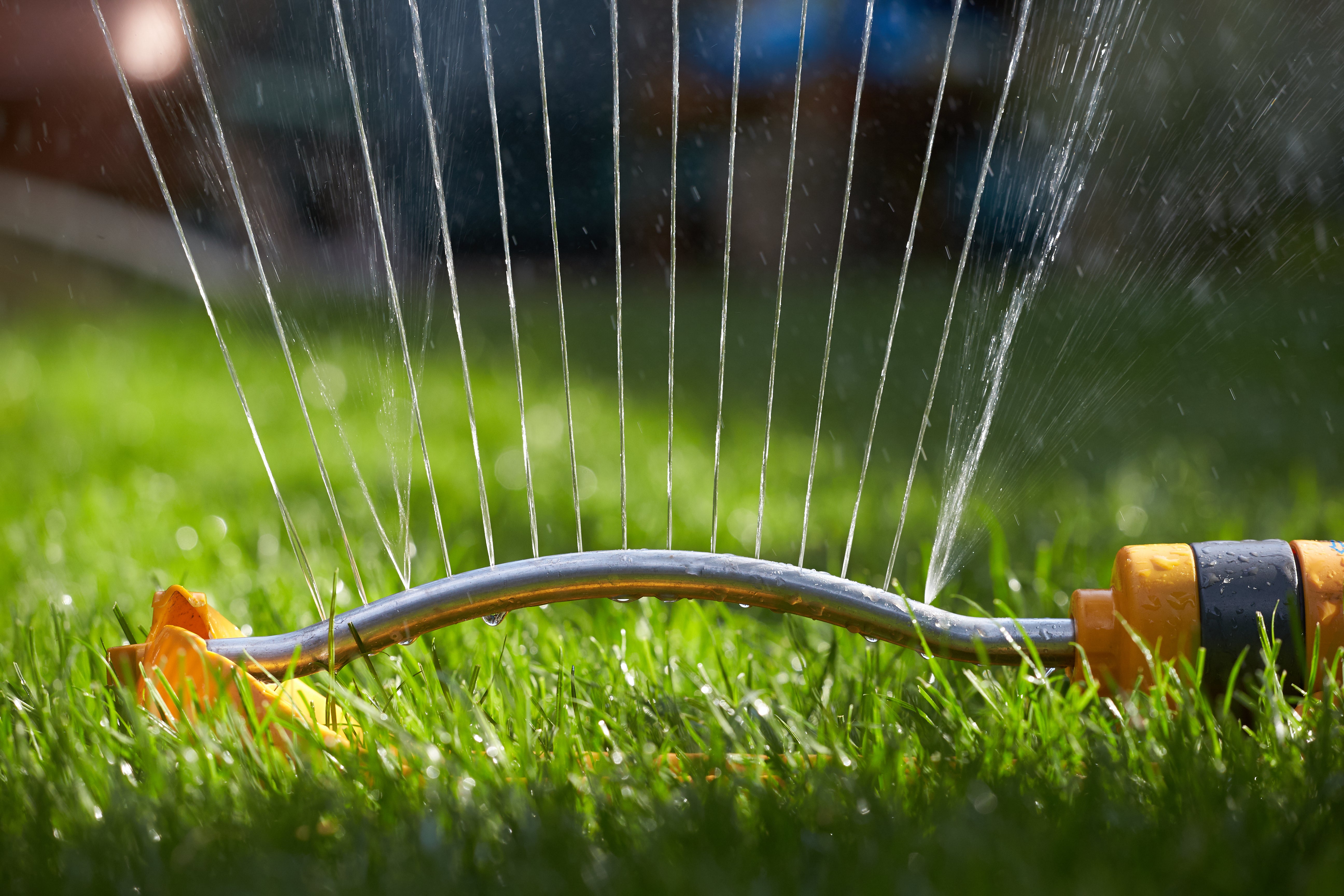 A garden sprinkler