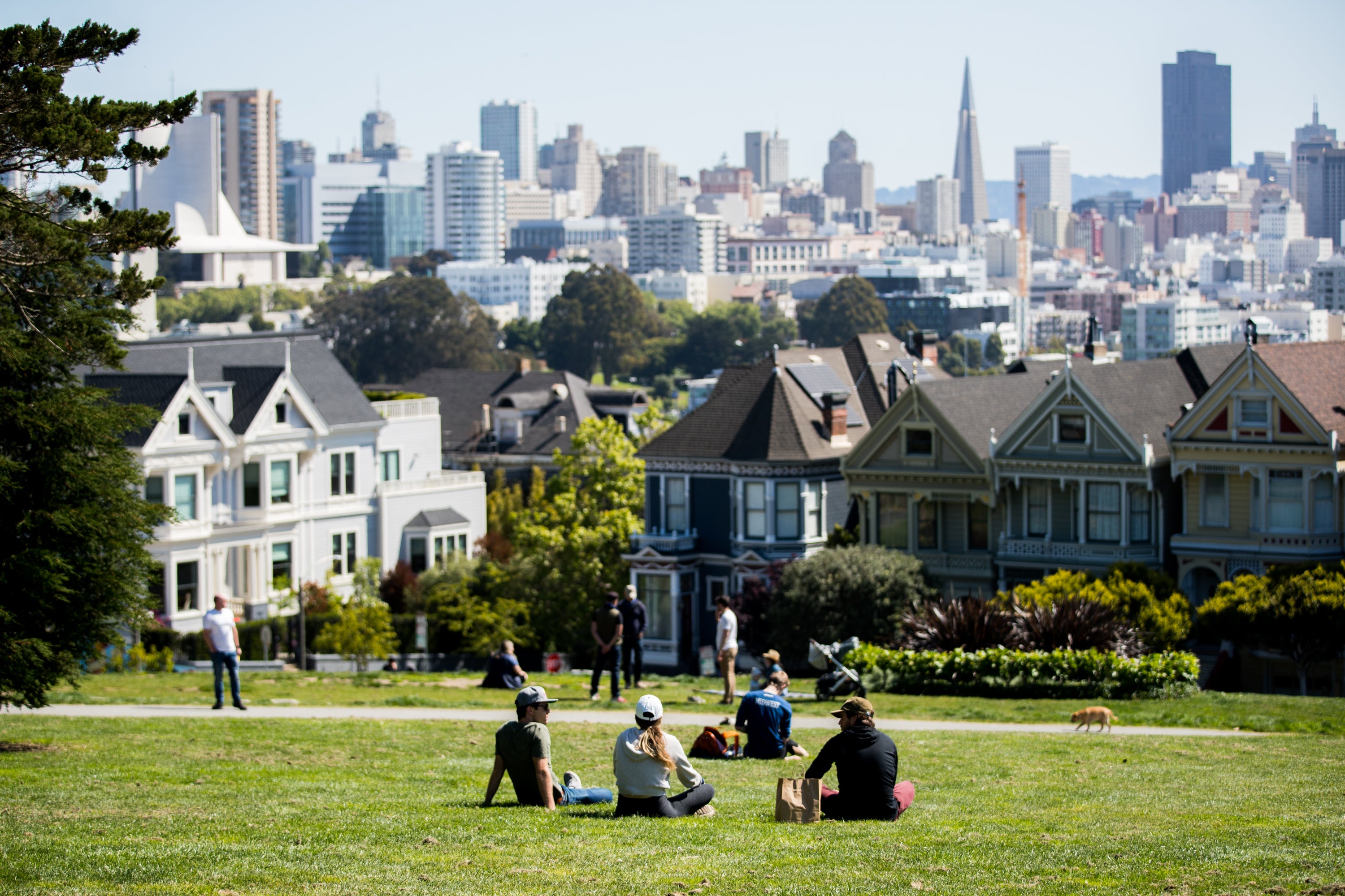 San Fransisco has one of the highest rates of vaccine uptake in the US