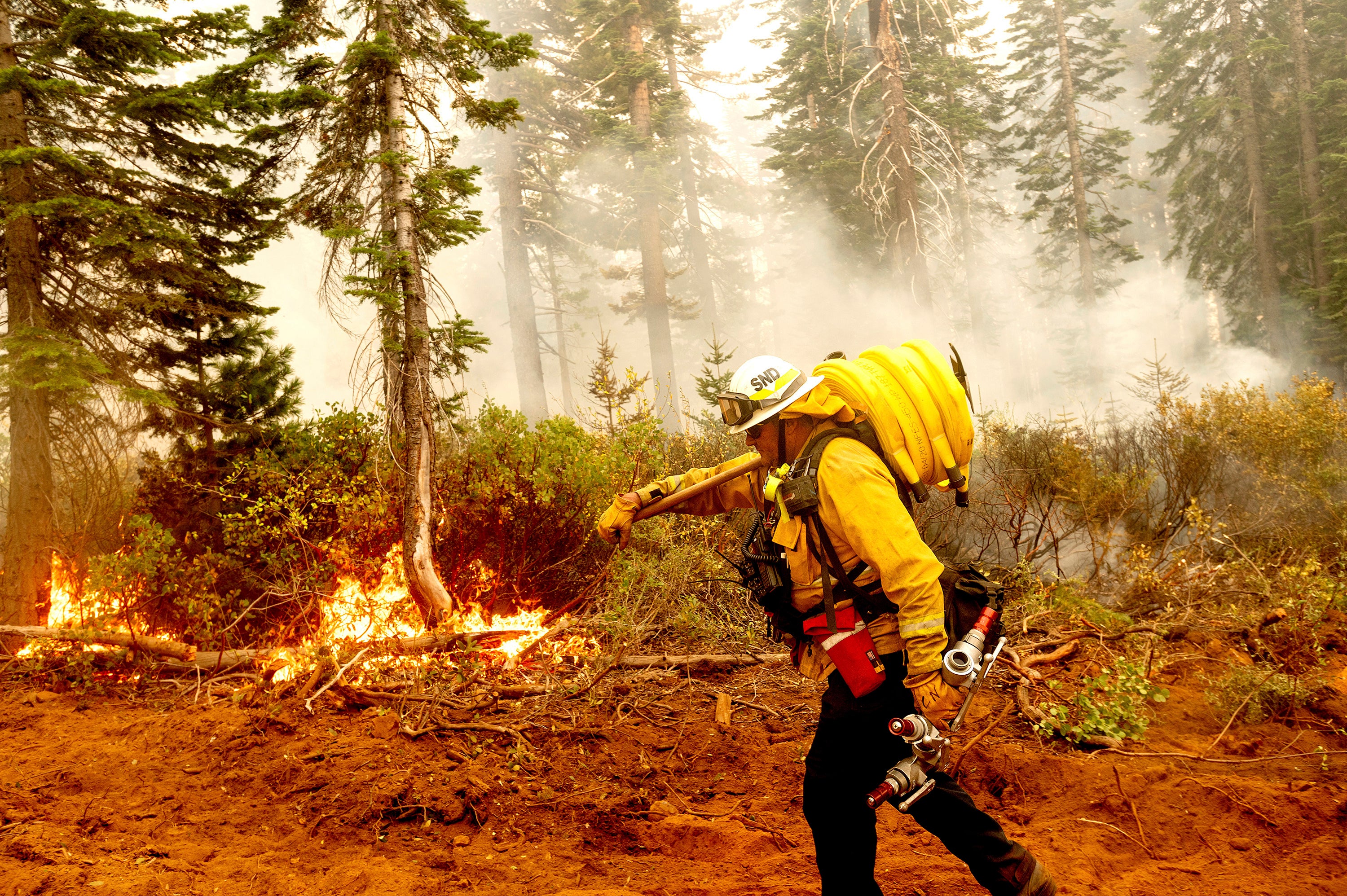 Wildland Firefighter Pay