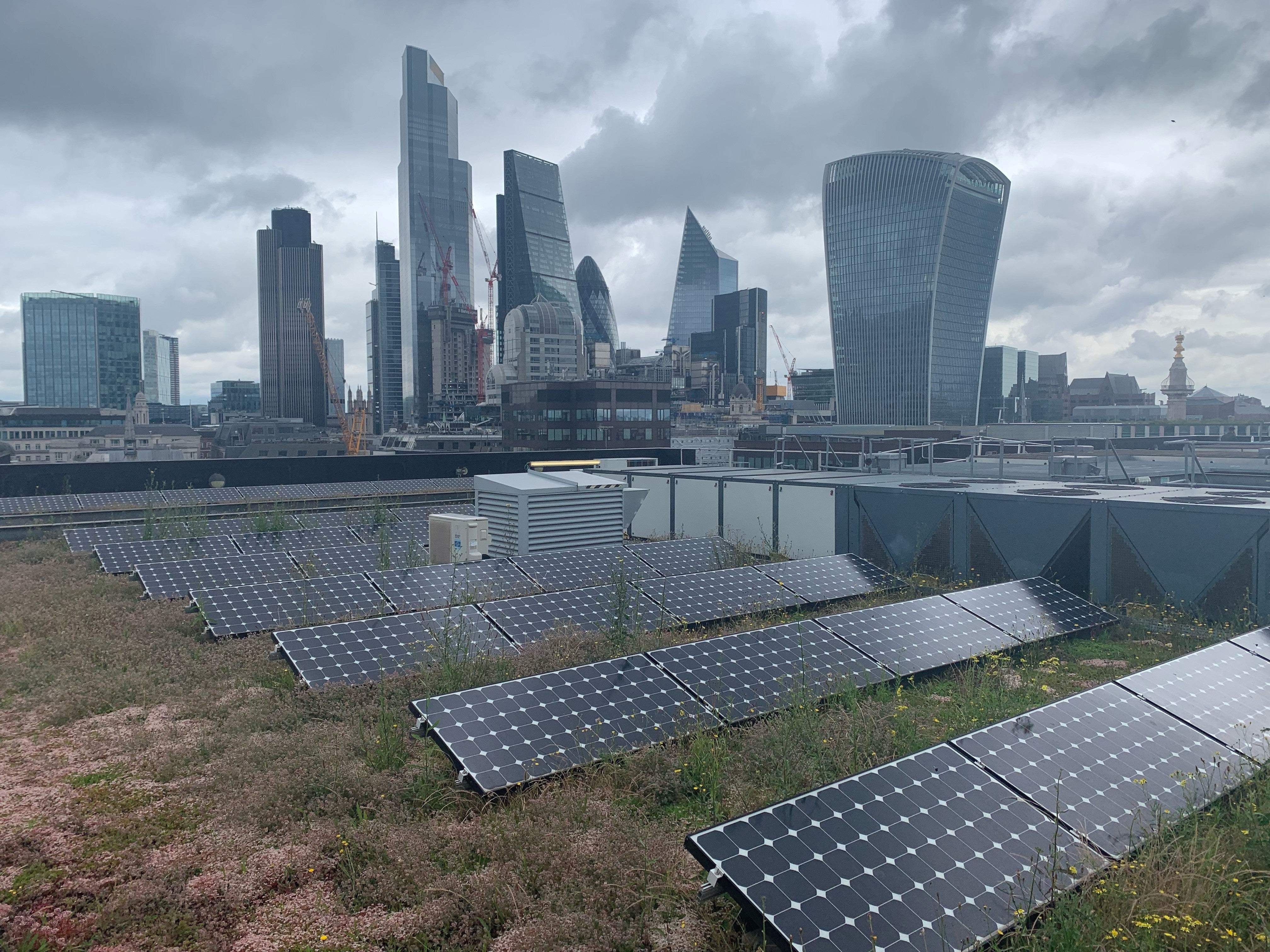 Nomura’s rooftop garden in the City of London hosts 159 plant species