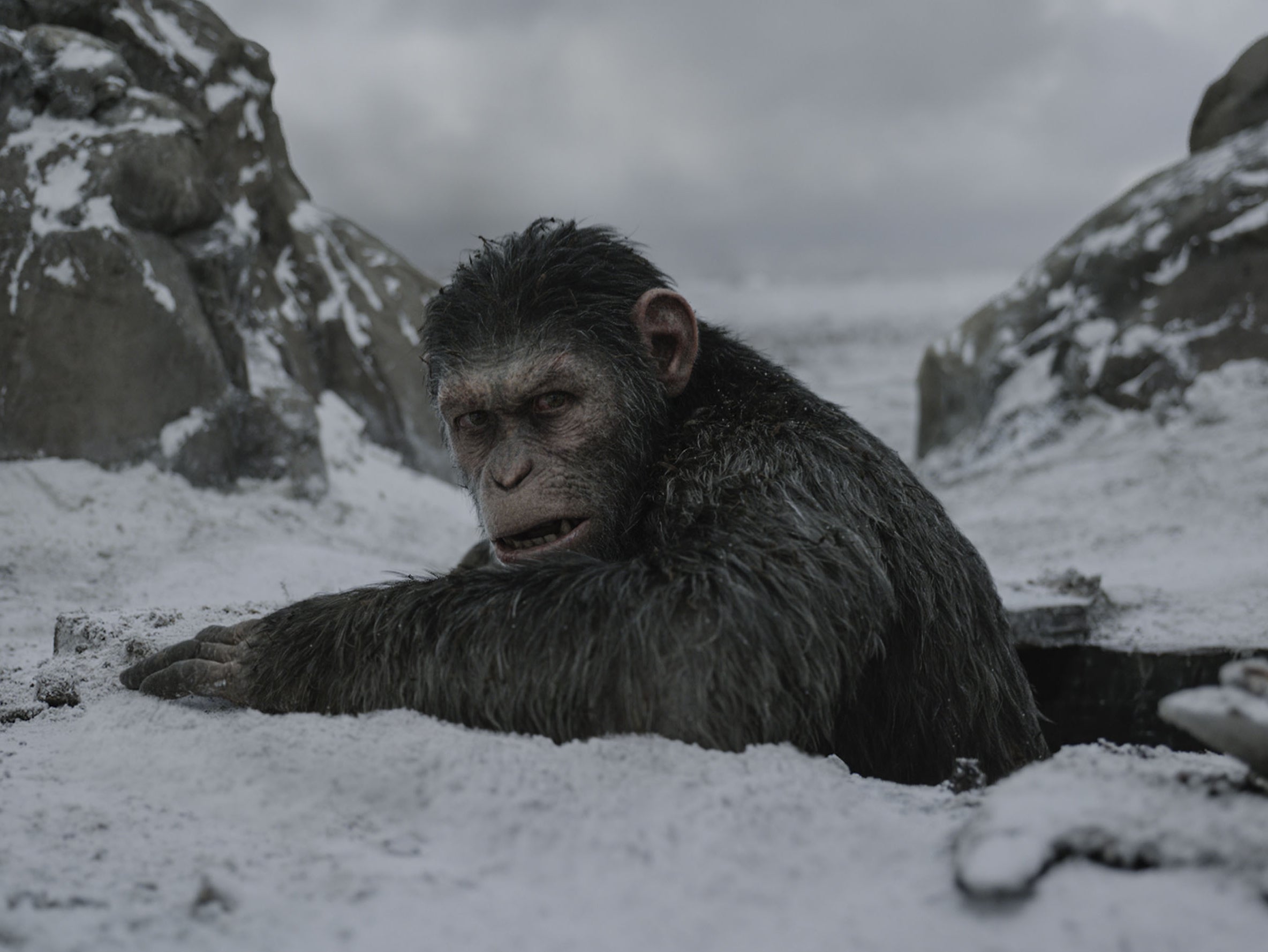 Andy Serkis in ‘War for the Planet of the Apes'