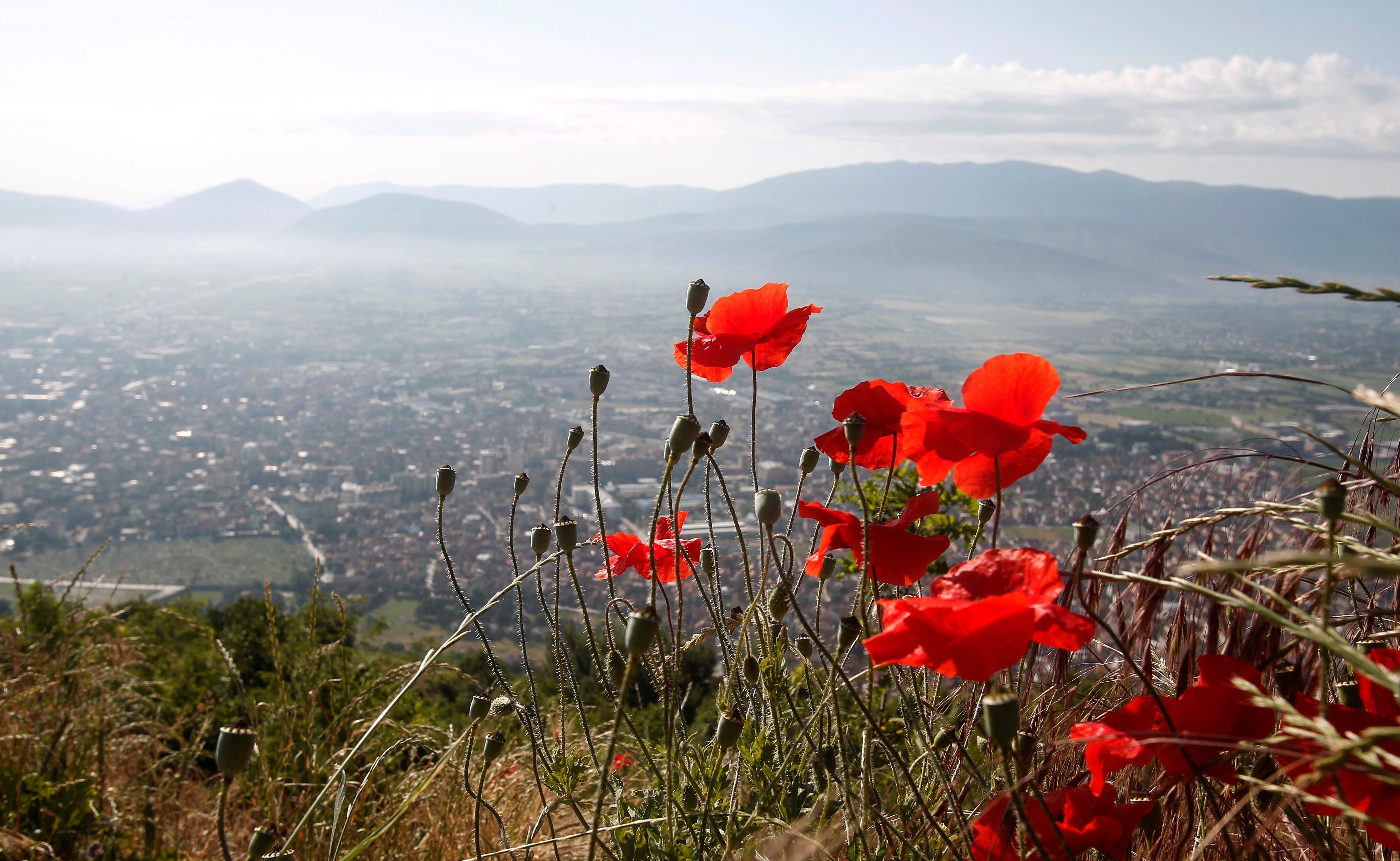 North Macedonia National Park