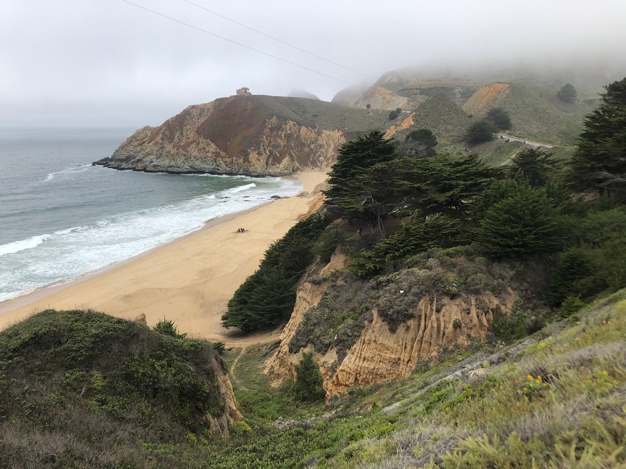 A surfer was hospitalised on Saturday after being bitten by a great white shark at Gray Whale Cove State Beach in Half Moon Bay, California.