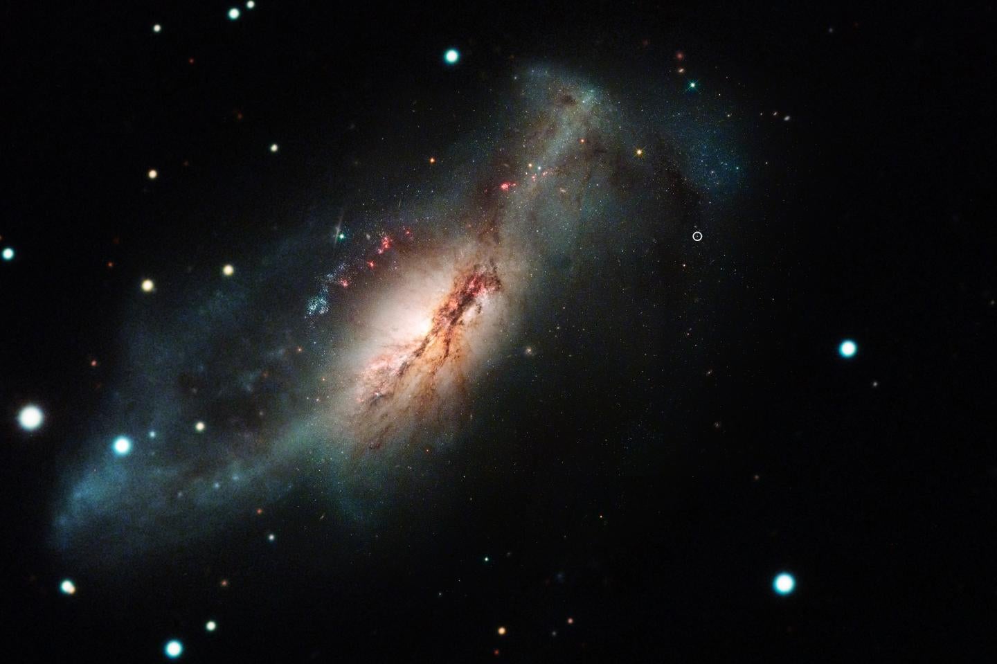 Las Cumbres Observatory and Hubble Space Telescope color composite of the electron-capture supernova 2018zd (the large white dot on the right) and the host starburst galaxy NGC 2146 (toward the left)