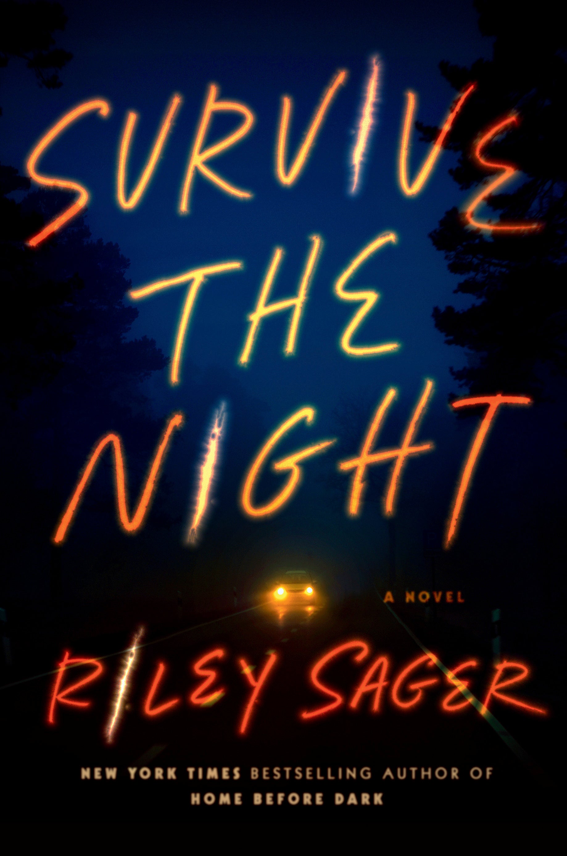 Book Review - Survive the Night