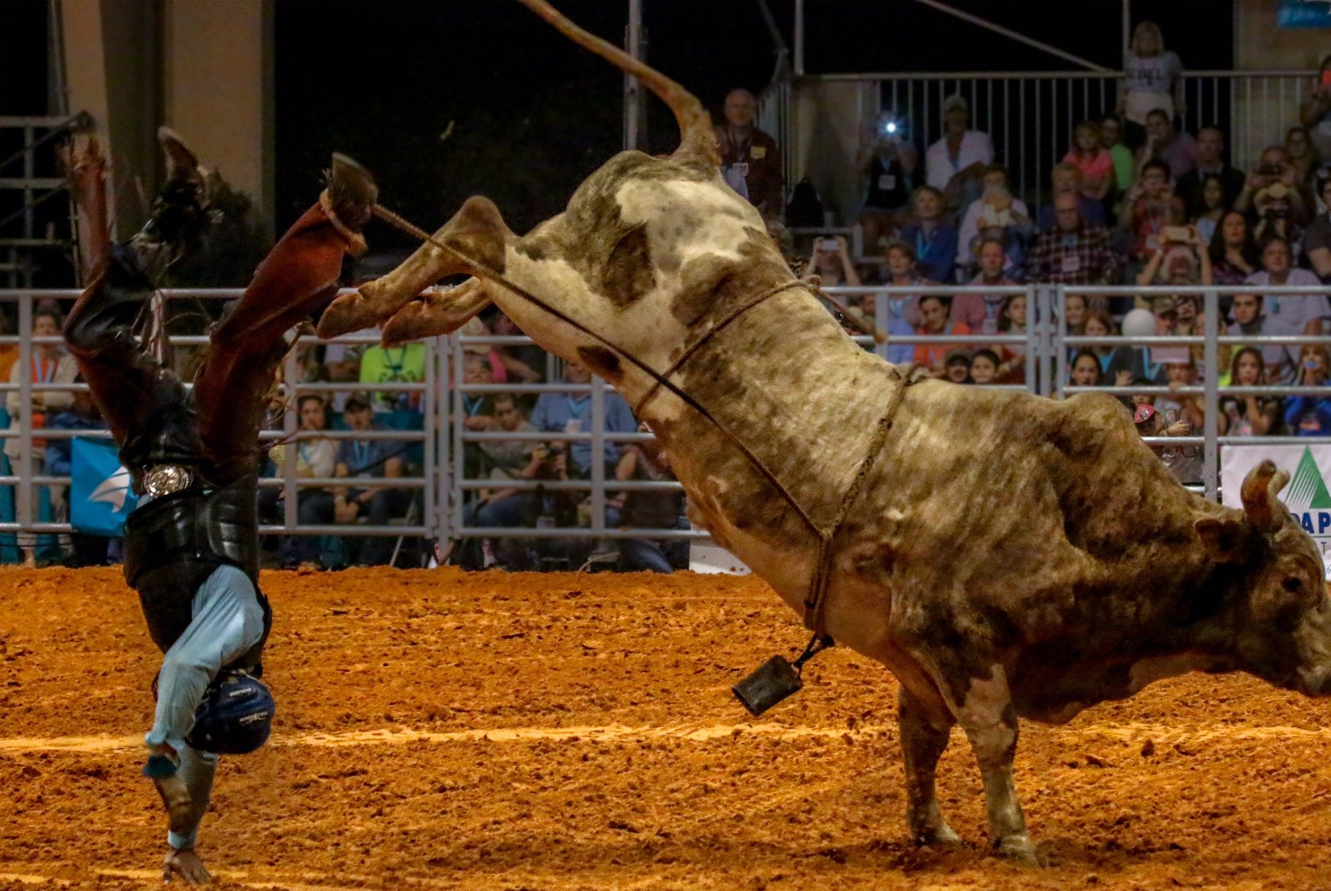 Find rodeo fun in Florida