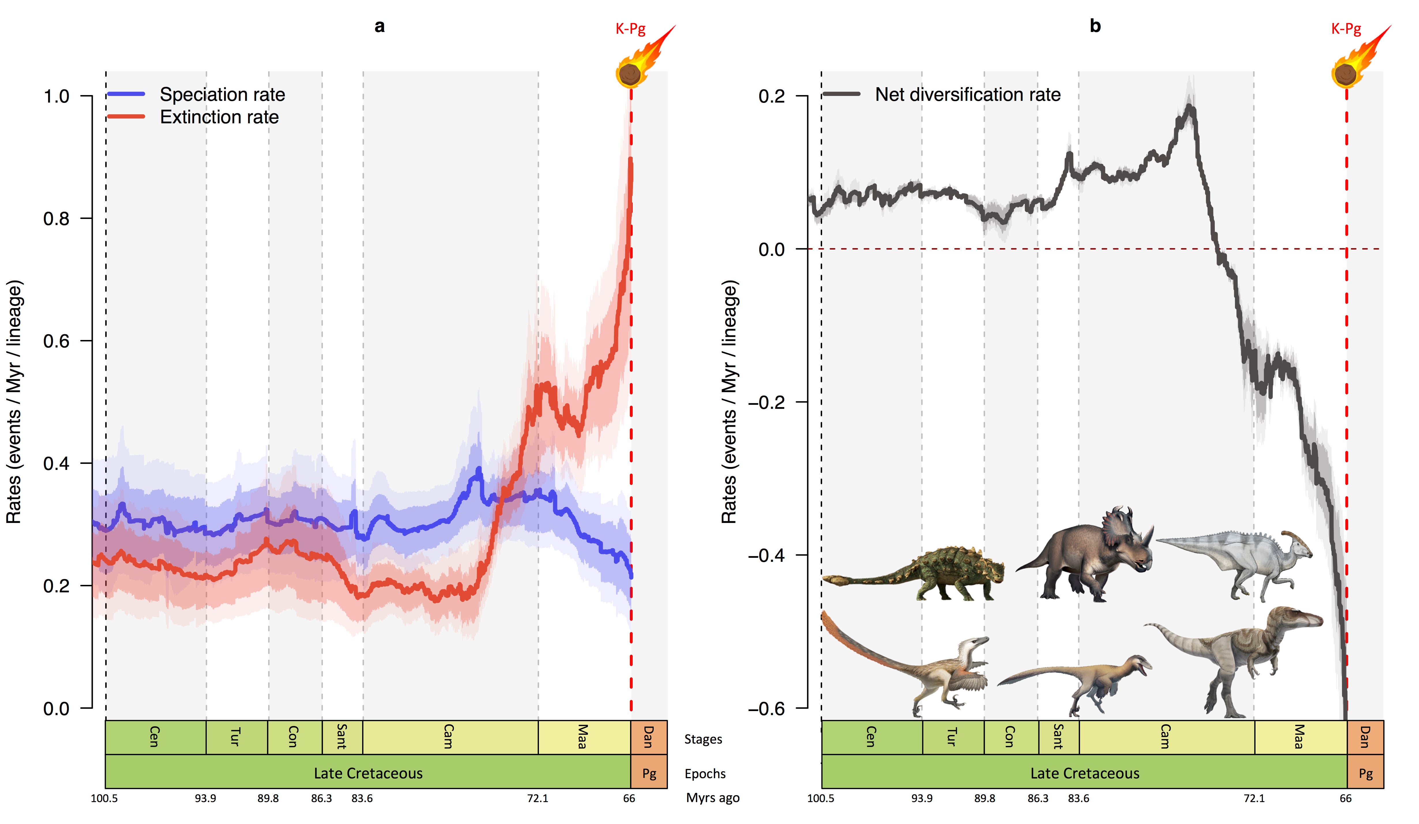 Graphs showing how speciation rate (blue) dipped and extinction rate (red) rose sharply in the last 10 million years of the age of dinosaurs. Run together, this corresponds to a rapid reduction in the number of species (black) just before the impact of the asteroid 66 million years ago