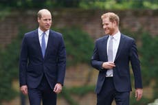 Prince Harry and Prince William seen smiling together as they reunite for Diana statue unveiling