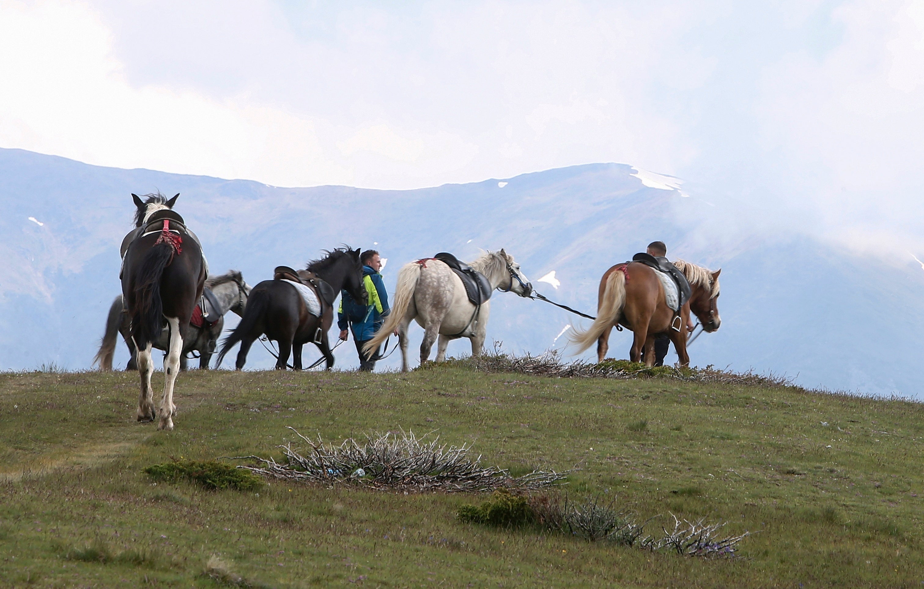 North Macedonia National Park