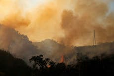 What we know about the victims of the US and Canada heatwave