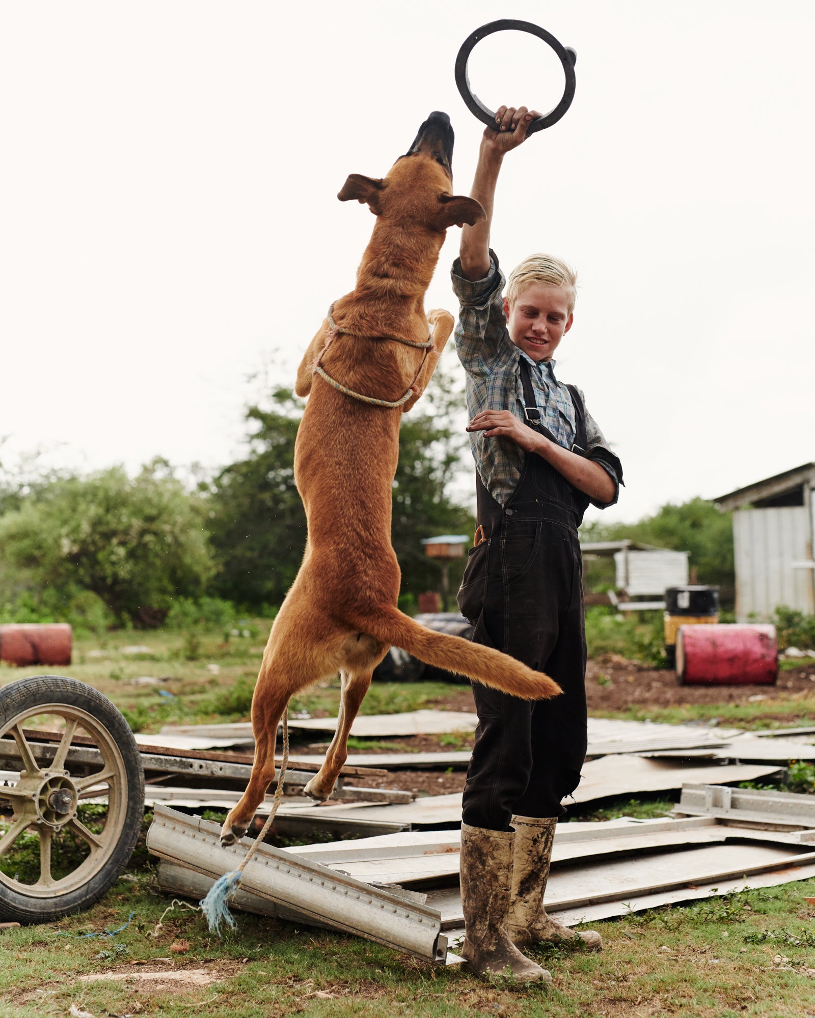 A boy happily playing with his dog