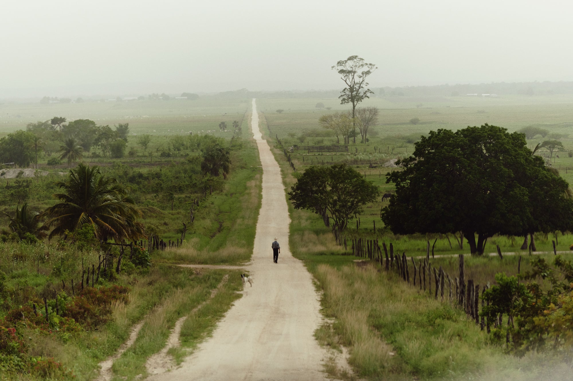 Hills and plains where each family ‘had their slice of paradise’