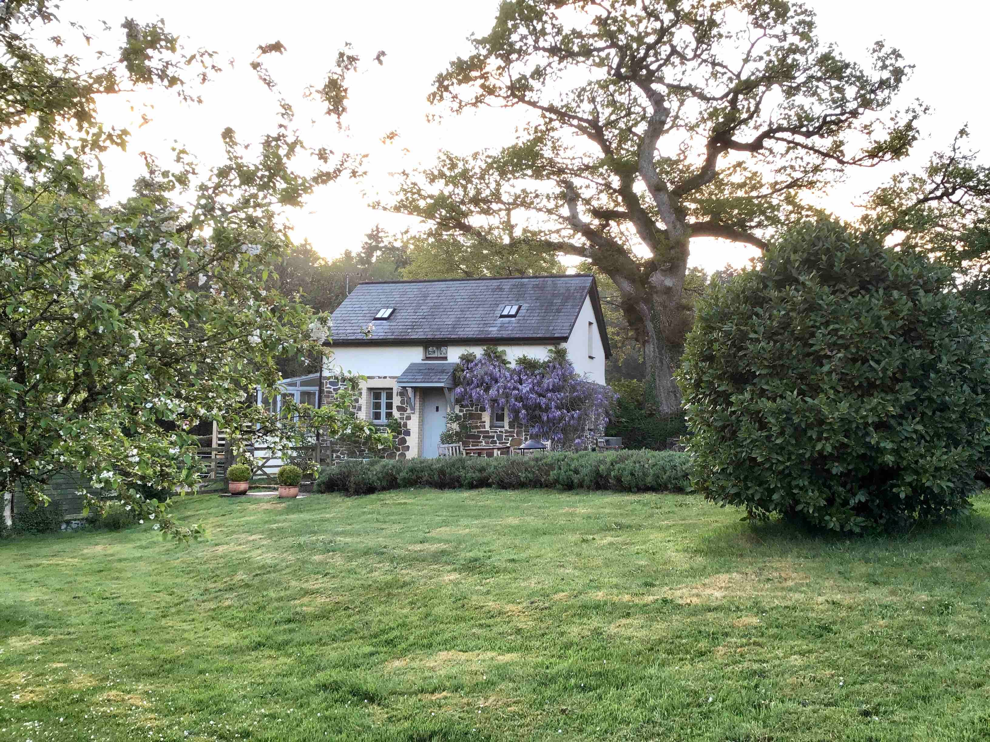 Little Buckland Cottage