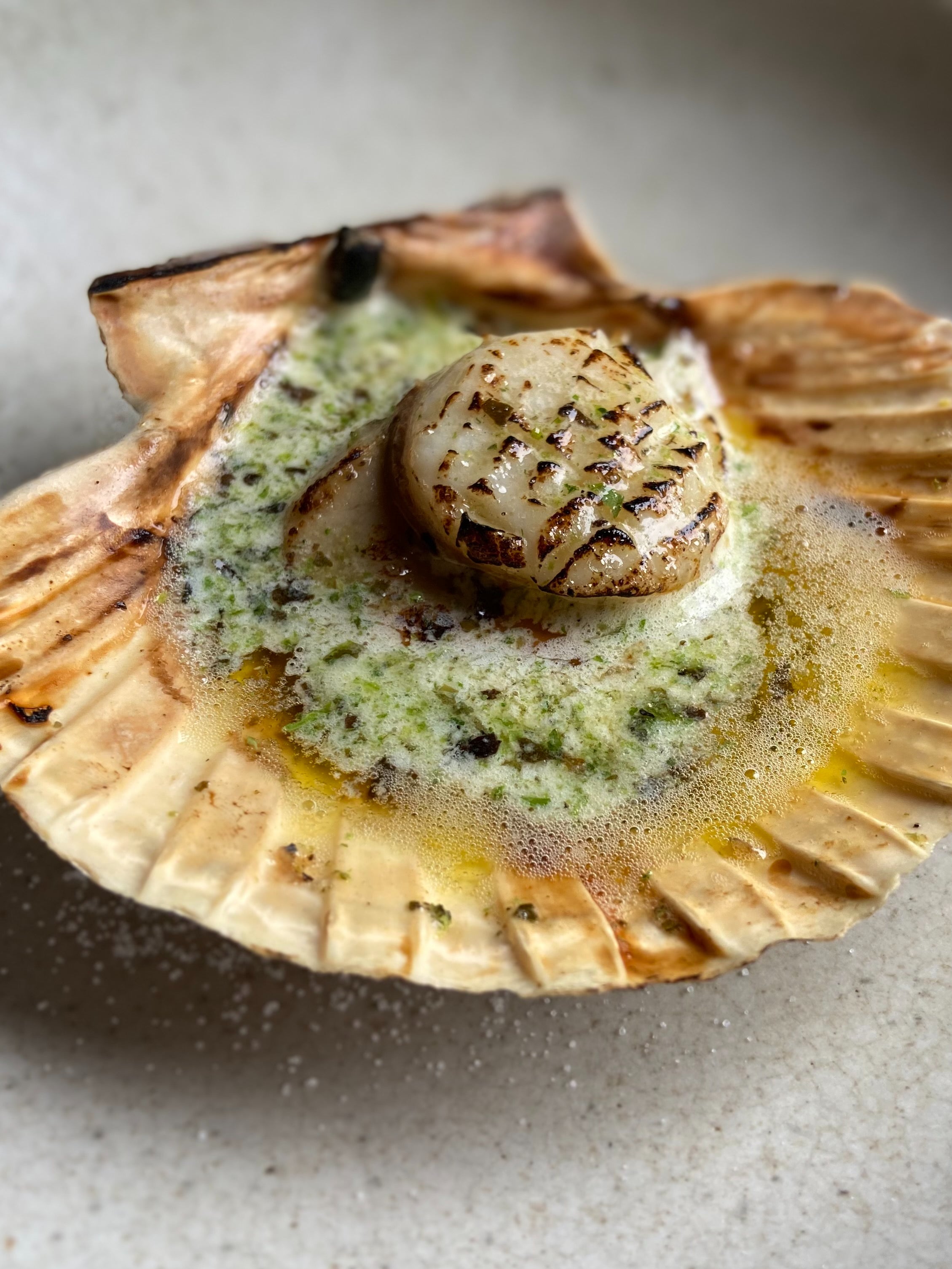 Char-kissed scallops, sea-sweet and cooked just beyond translucency, sitting in devotional pools of butter in their shells