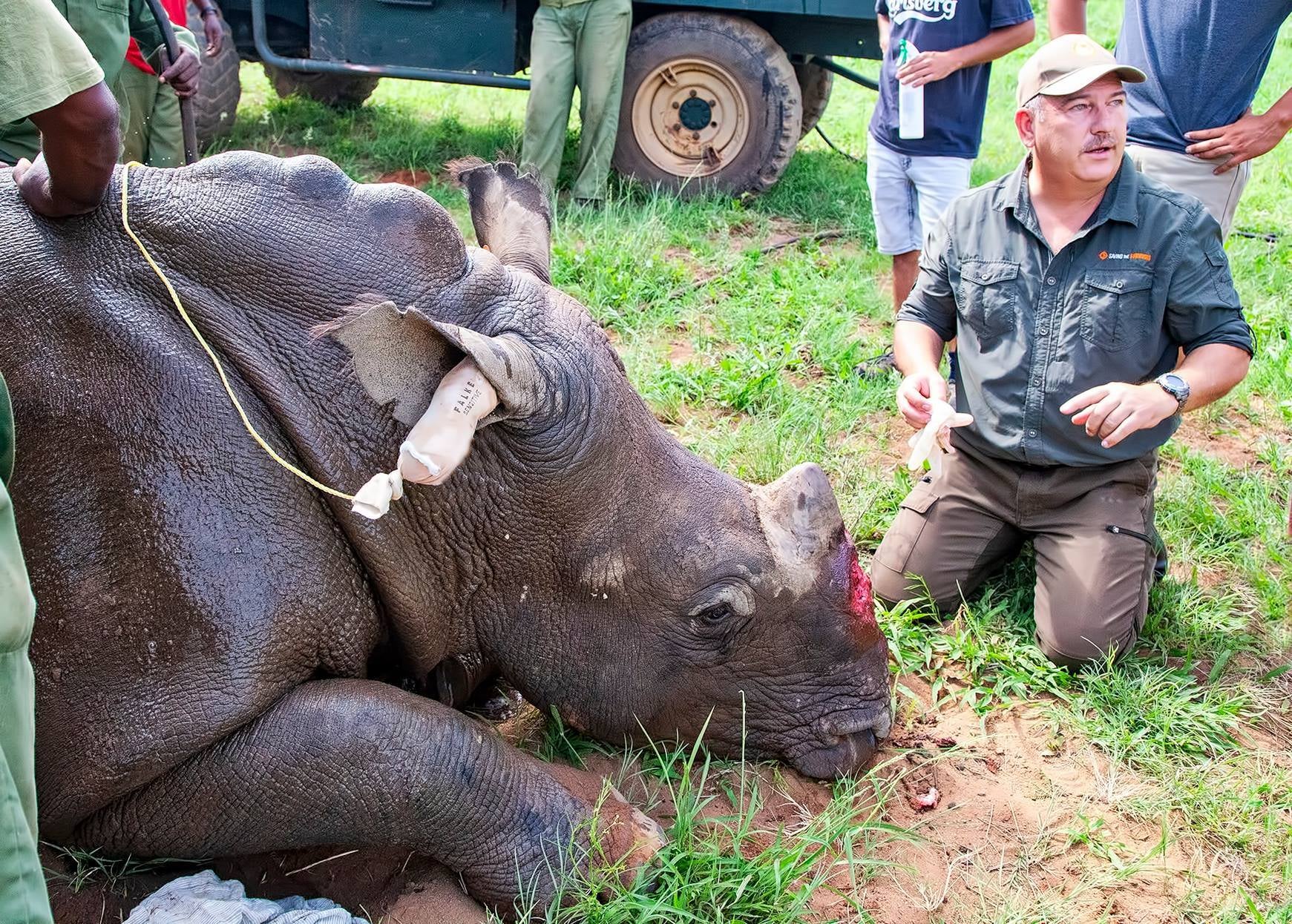 Dr Johan Marais is one of only a few ‘wild vets’ helping to reconstruct the faces of poached rhinos