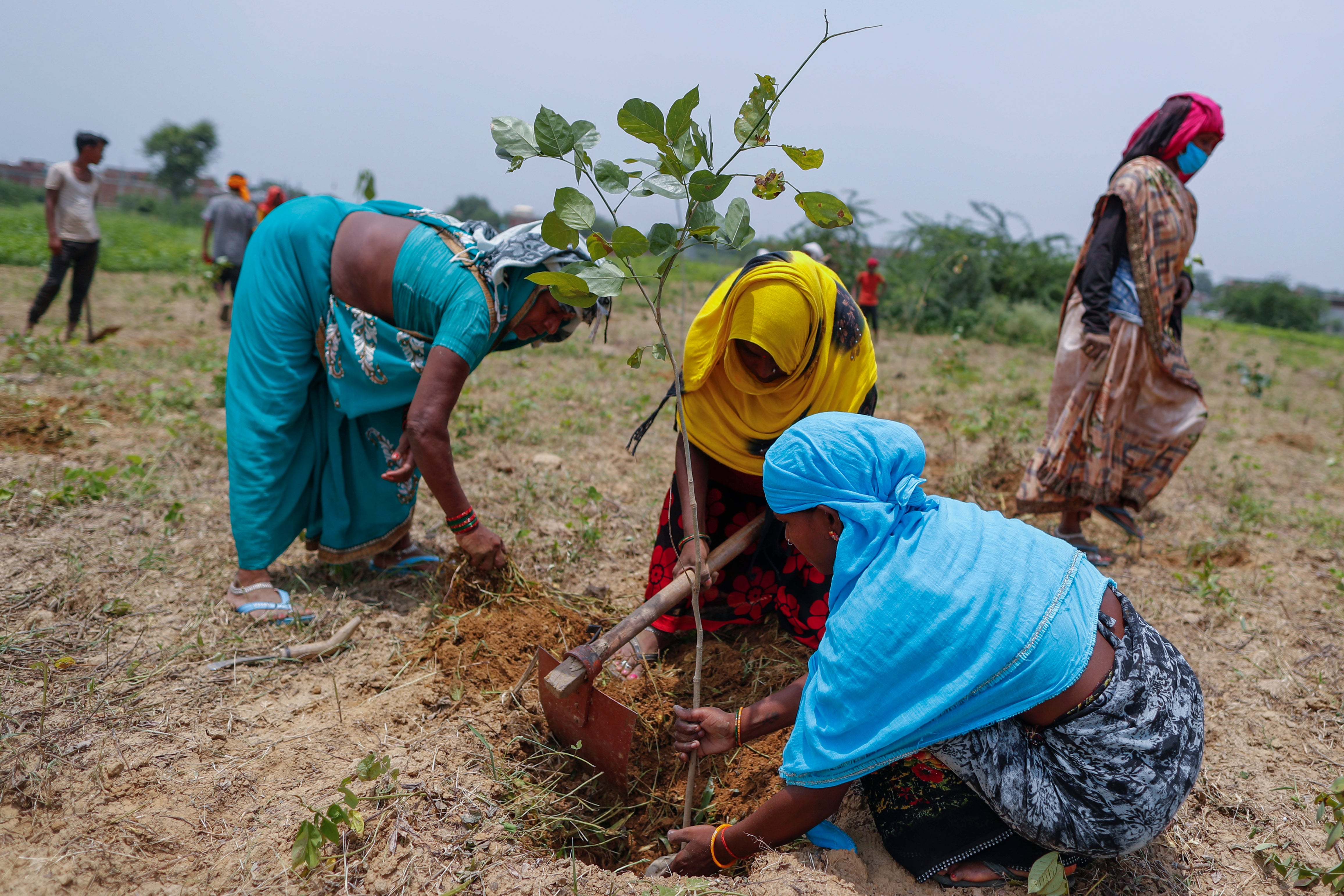 The drive spans through 68,000 villages and 83,000 forest sites