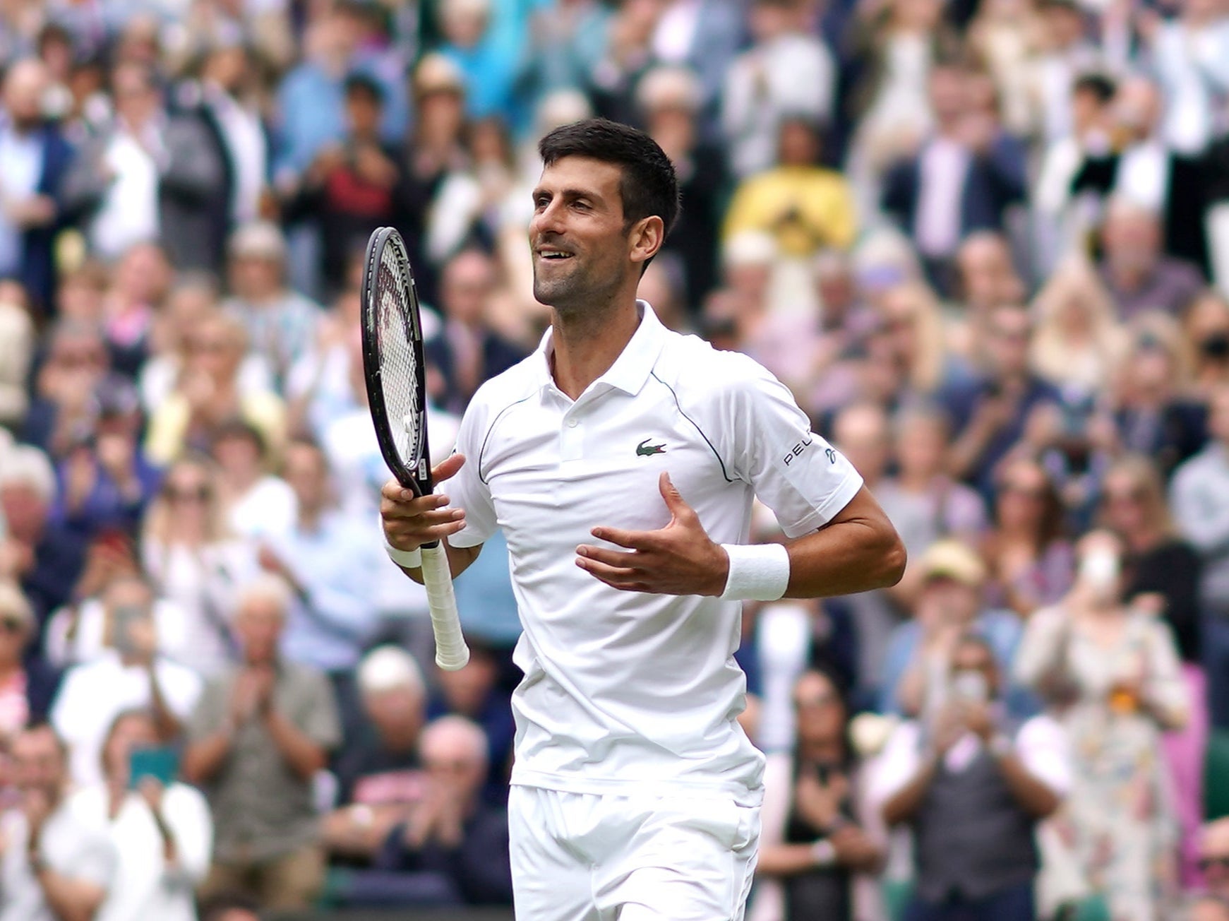 Novak Djokovic is through to the Wimbledon semi-final having dropped just one set