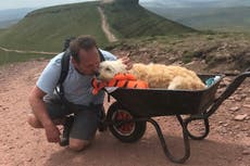 Man carries dying dog up favourite mountain for emotional farewell walk