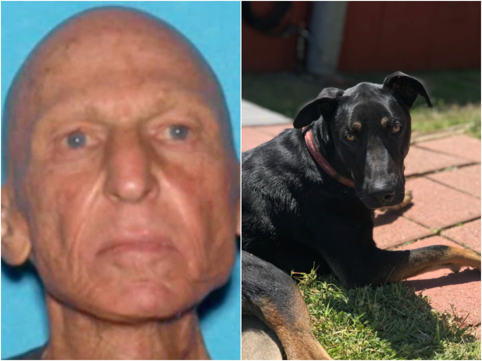 John Stewart, 70, was found dead in a pond with his dog Rico still waiting nearby.