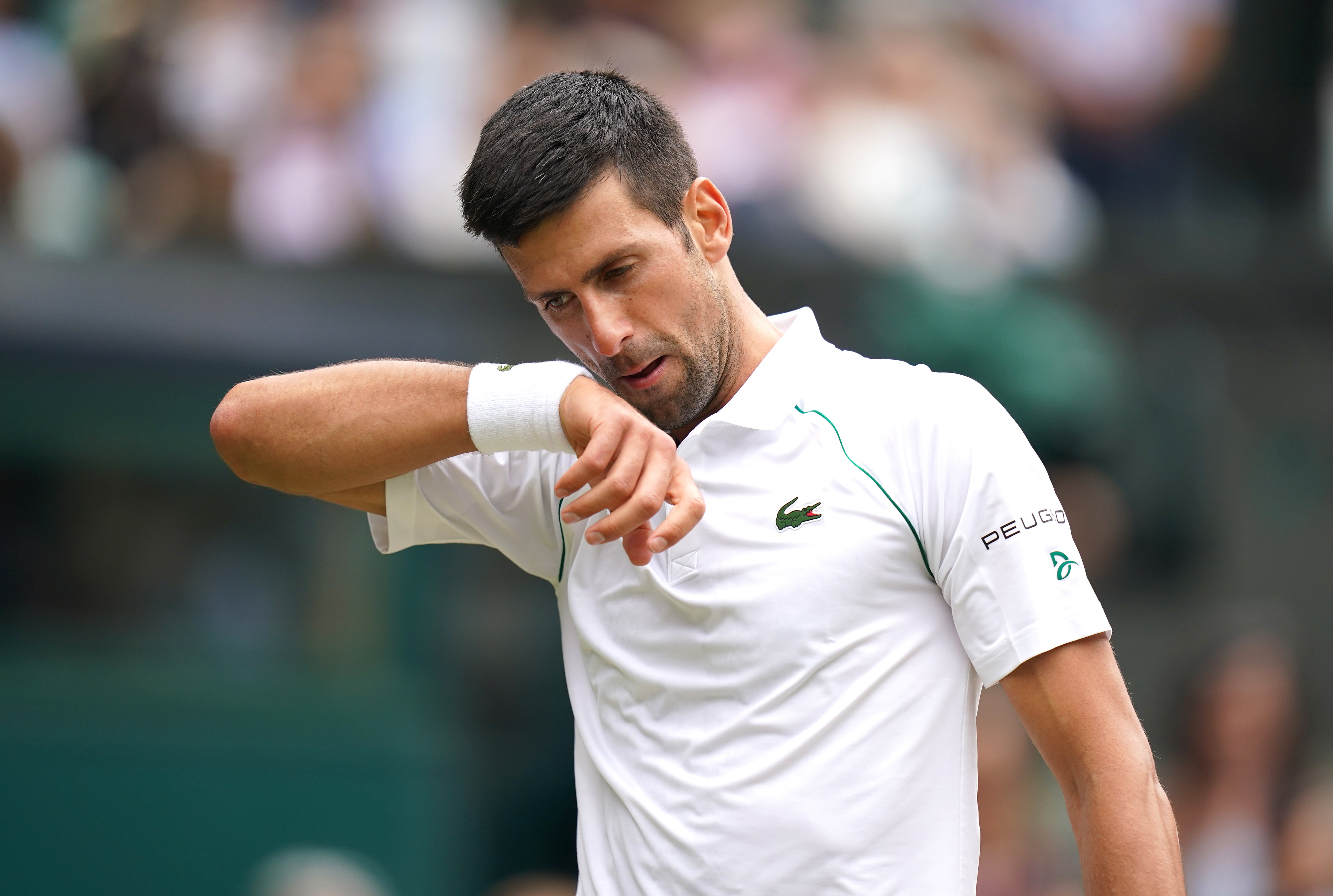 Novak Djokovic is closing in on a record-equalling 20th grand slam title