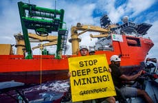 ‘Utterly reckless’: This is why we need a ban on deep sea mining