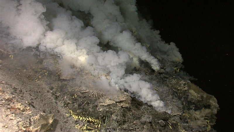 Hydrothermal vents are typically rich in sulphides of heavy metals such as copper, zinc, iron and lead