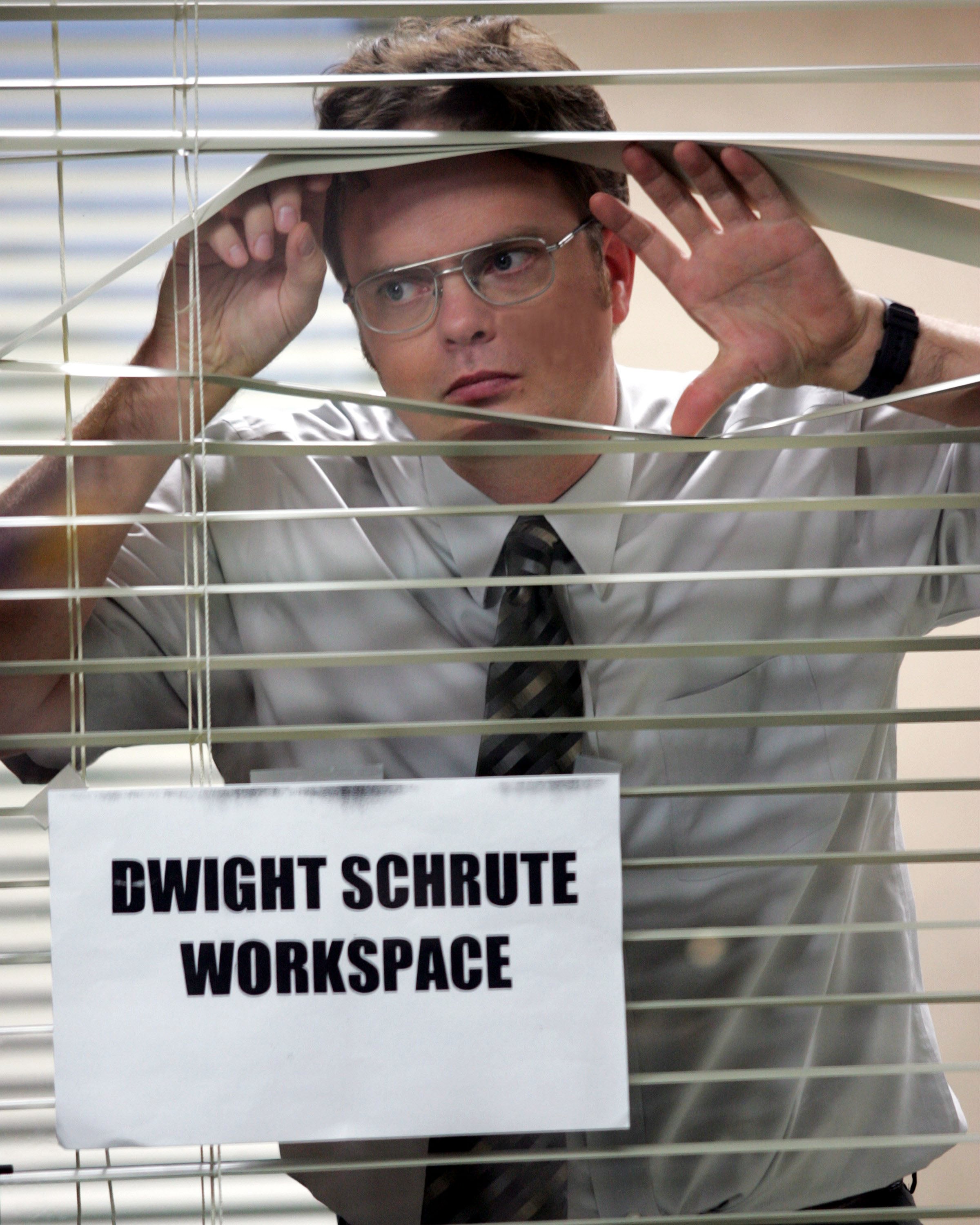 As Dwight in ‘The Office'