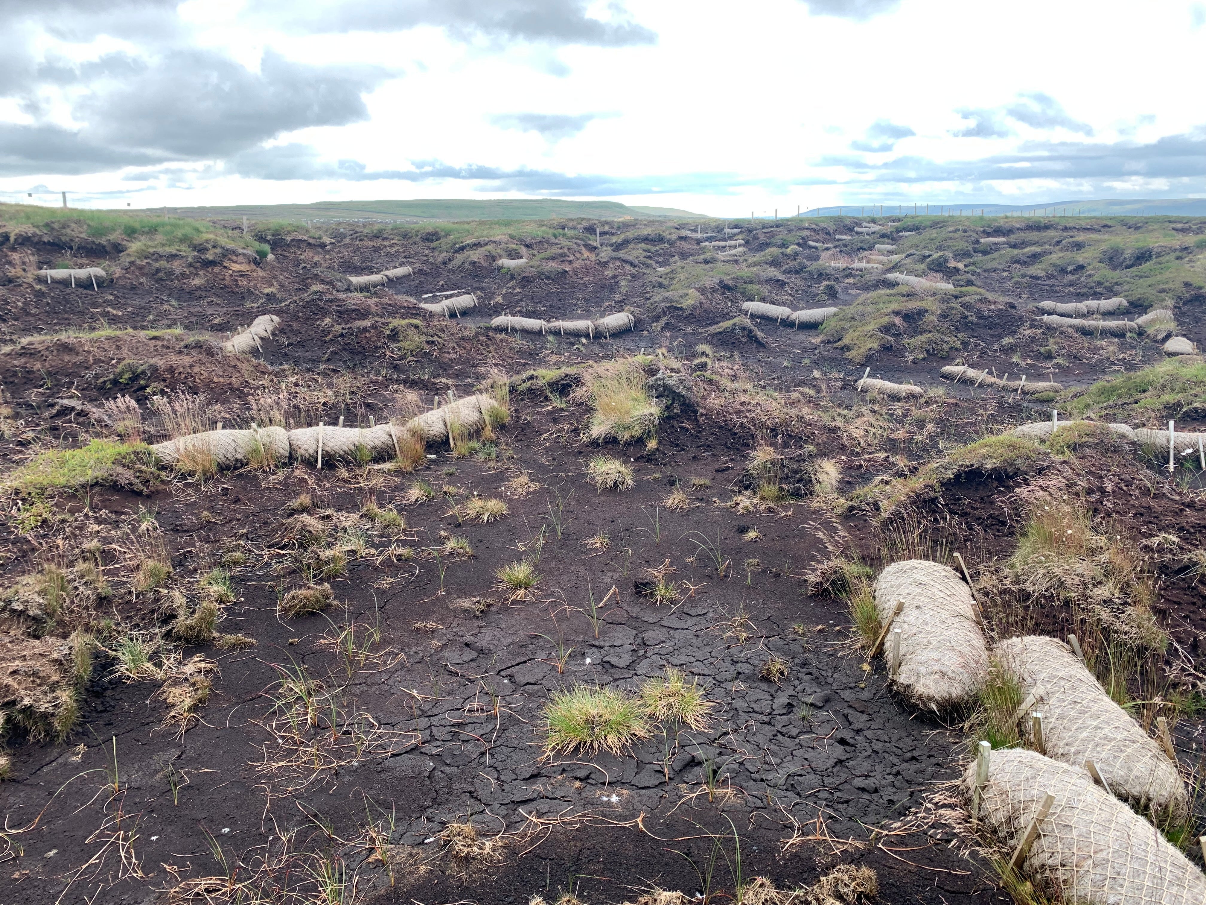 Degraded peat at Fleet Moss in the Yorkshire Dales