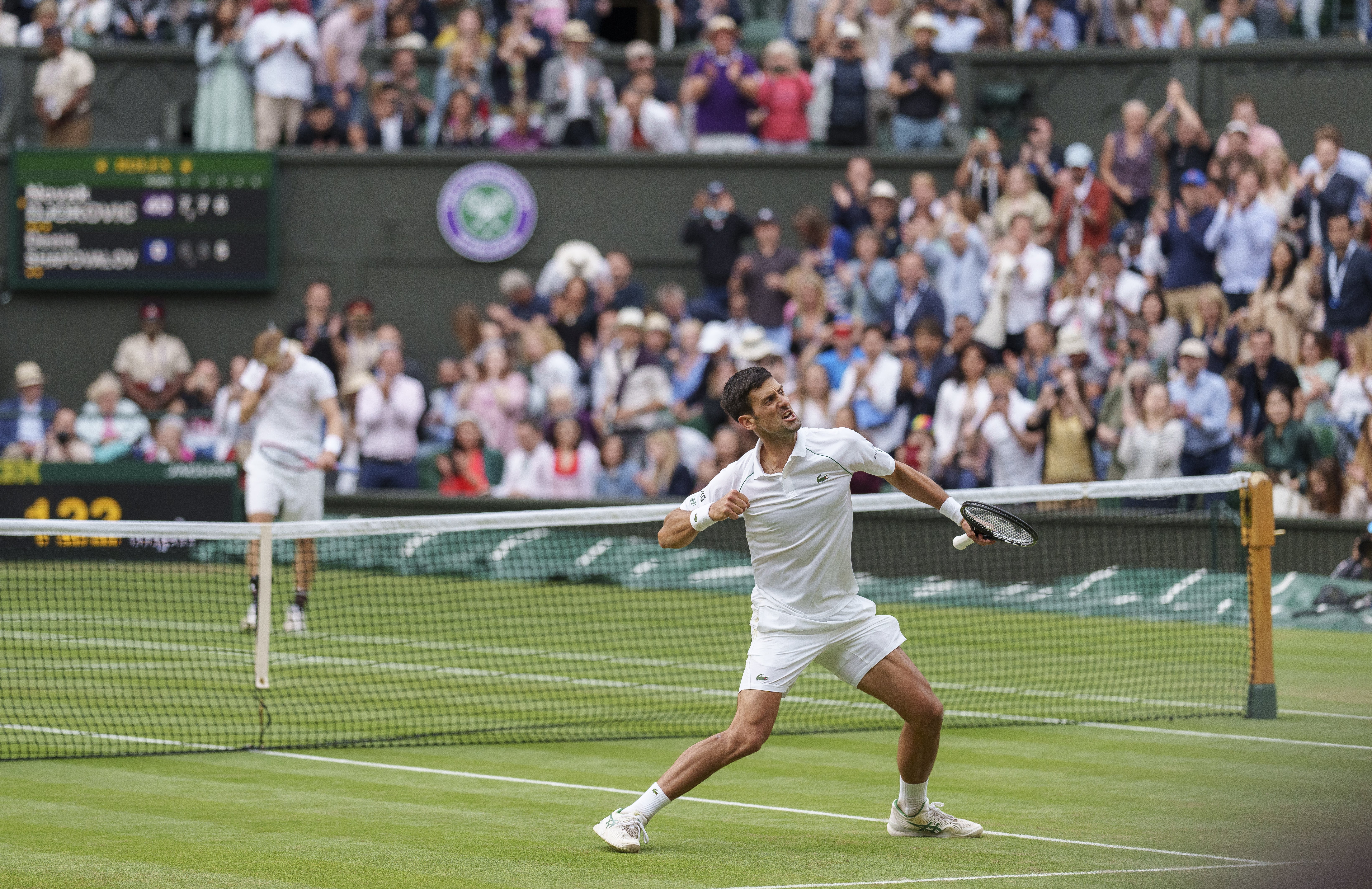 Novak Djokovic celebrates victory