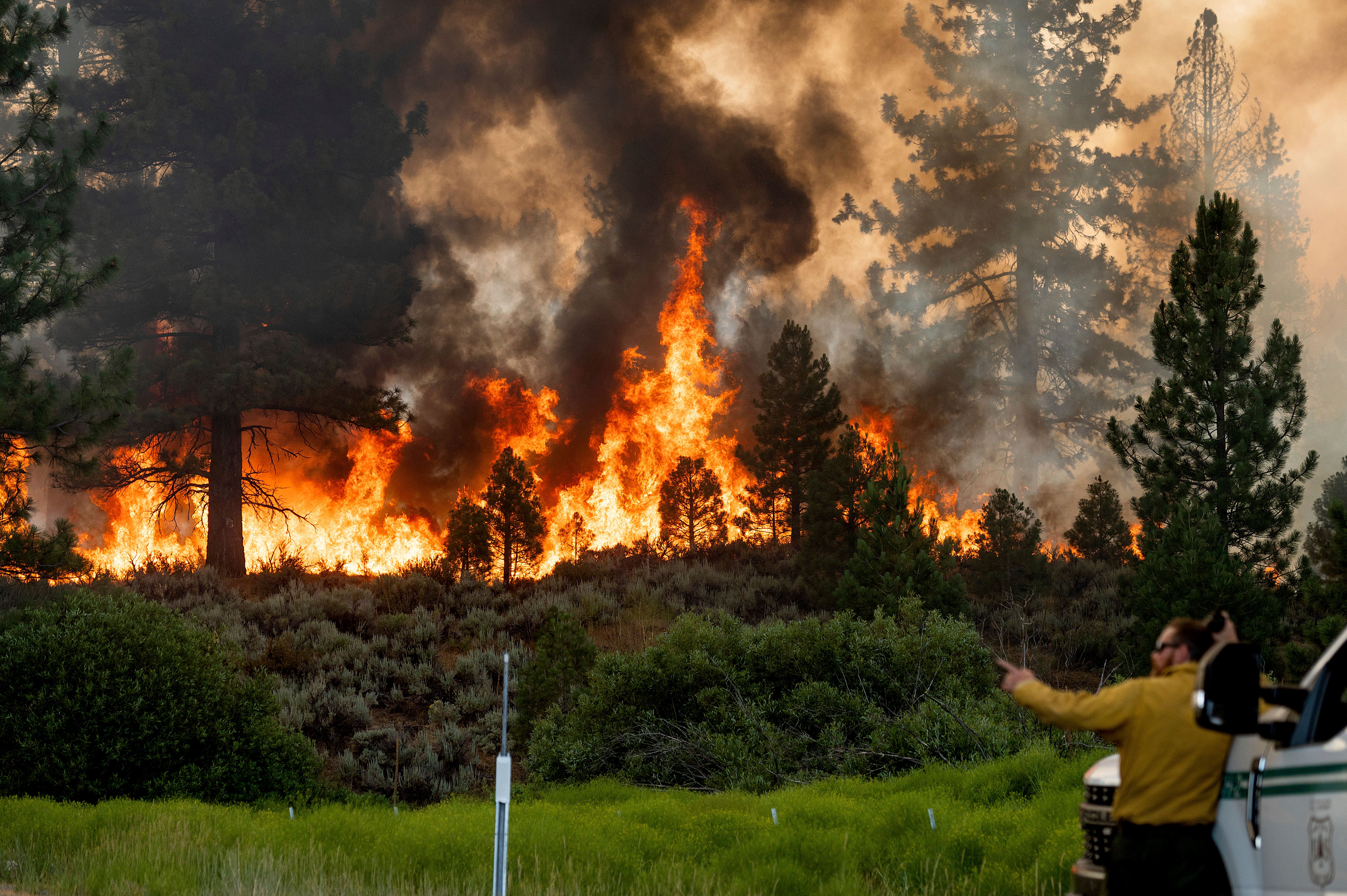 California Wildfires