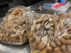 Customs officers seize 500g of meth smuggled into country inside peanut shells