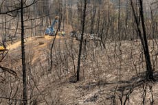 Heatwave: US firefighters struggle to contain wildfires while Canada announces new measures