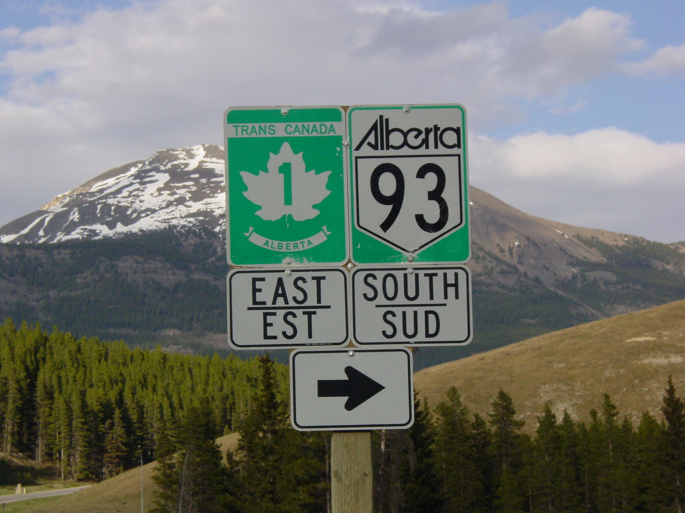 Going green? The Trans Canada Highway in Alberta