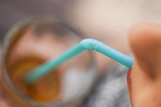 Plastic is inside all of us, yet we know little about its impact – the government has the power to change that