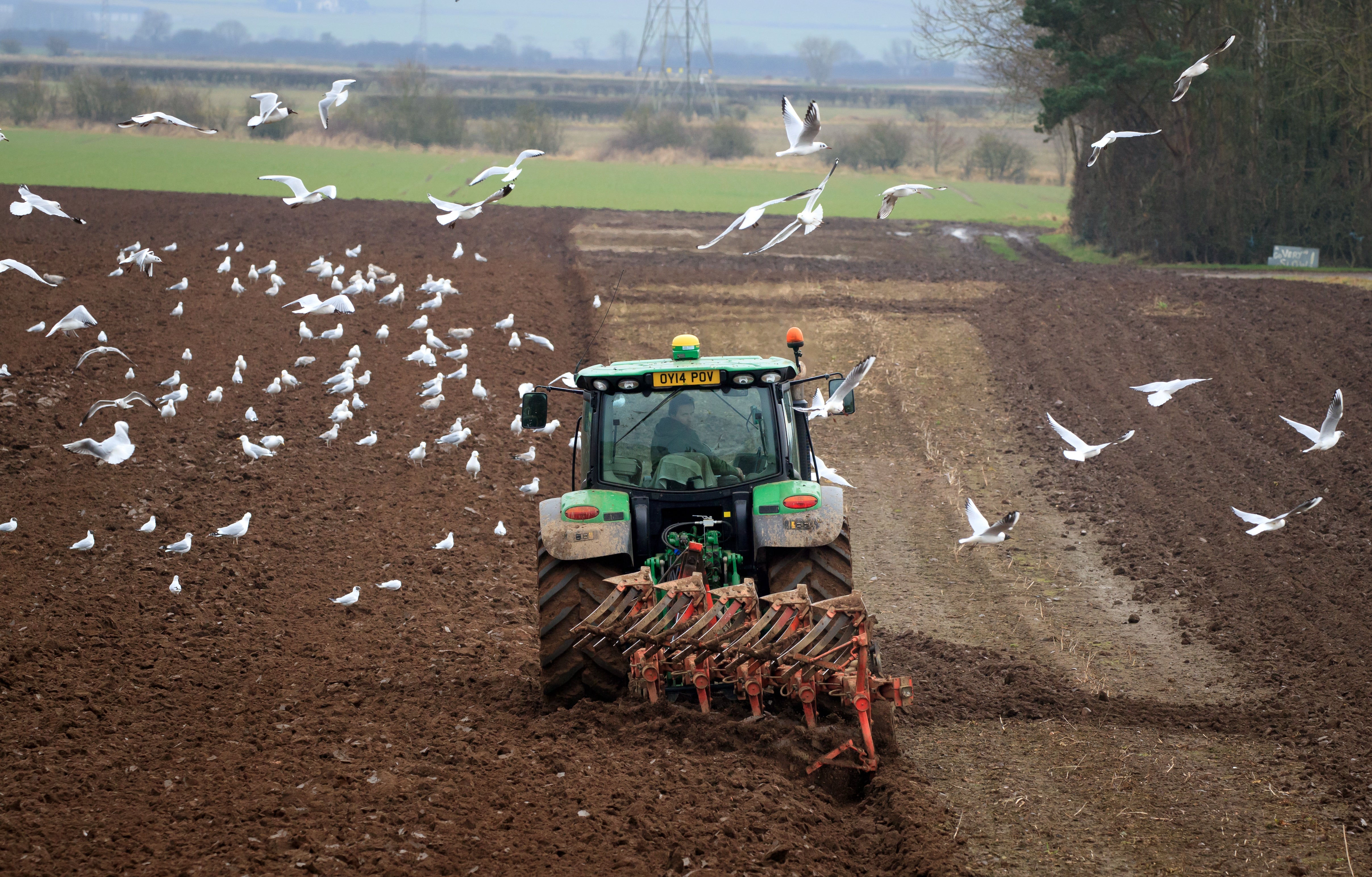 A farmer ploughs a field