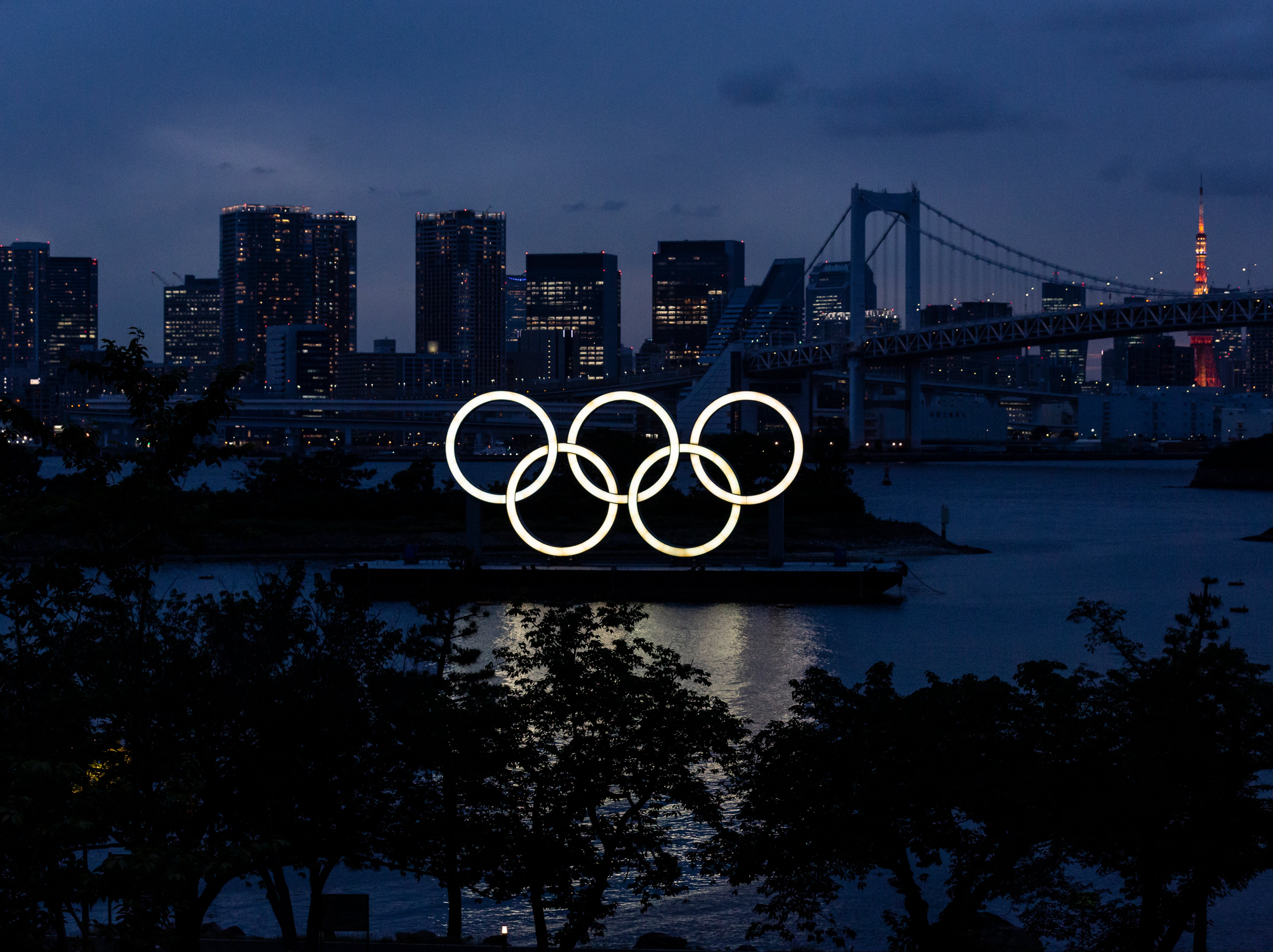 The Olympic rings displayed by the Odaiba Marine Park in Tokyo