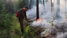 Siberia wildfires: Russian army planes battle huge blazes after heatwave 