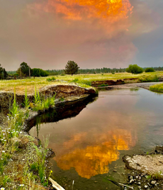 ‘We’ve never seen anything like this’: Crews fight raging Bootleg Fire in Oregon as 70 blazes erupt in US