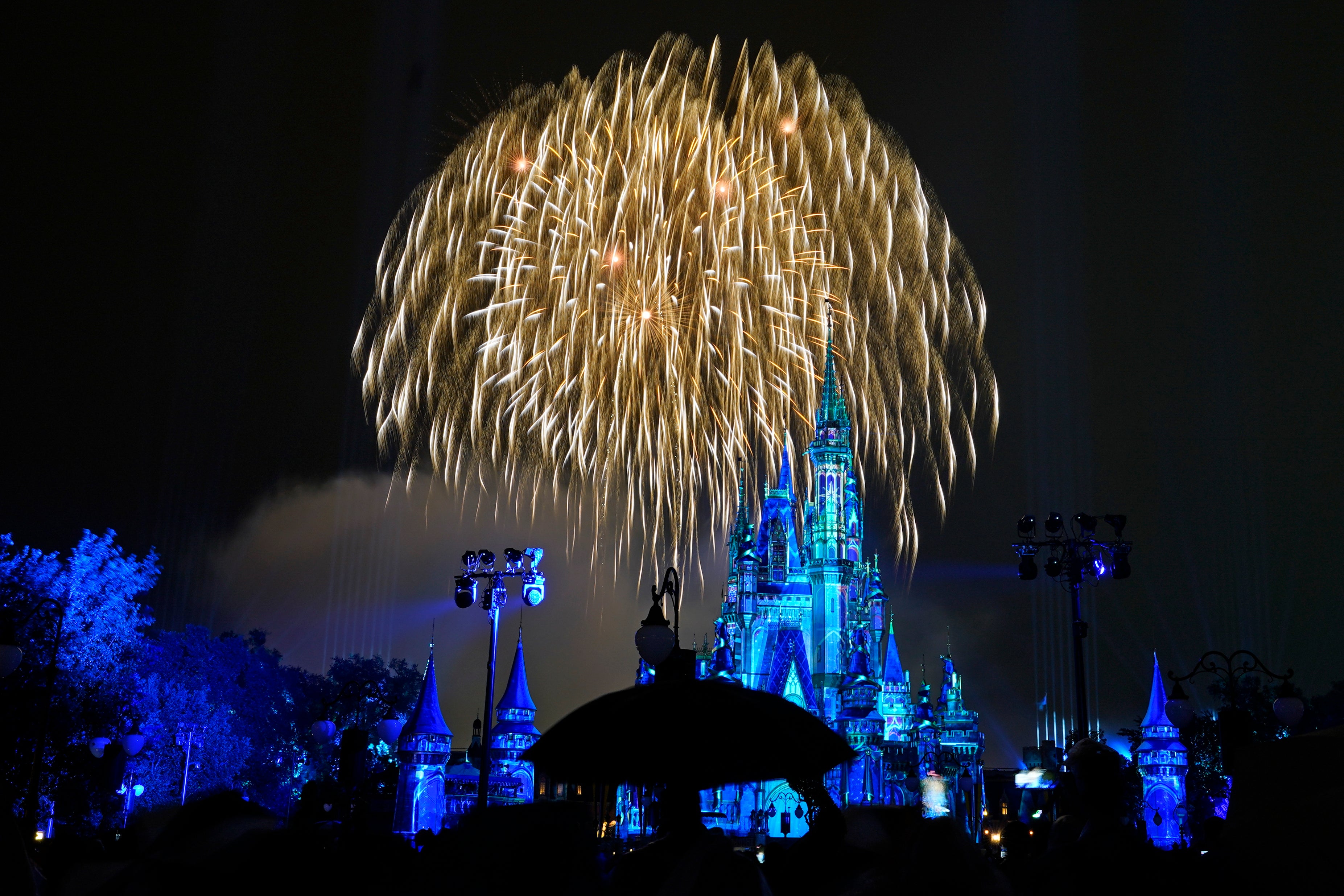 Disney Fireworks