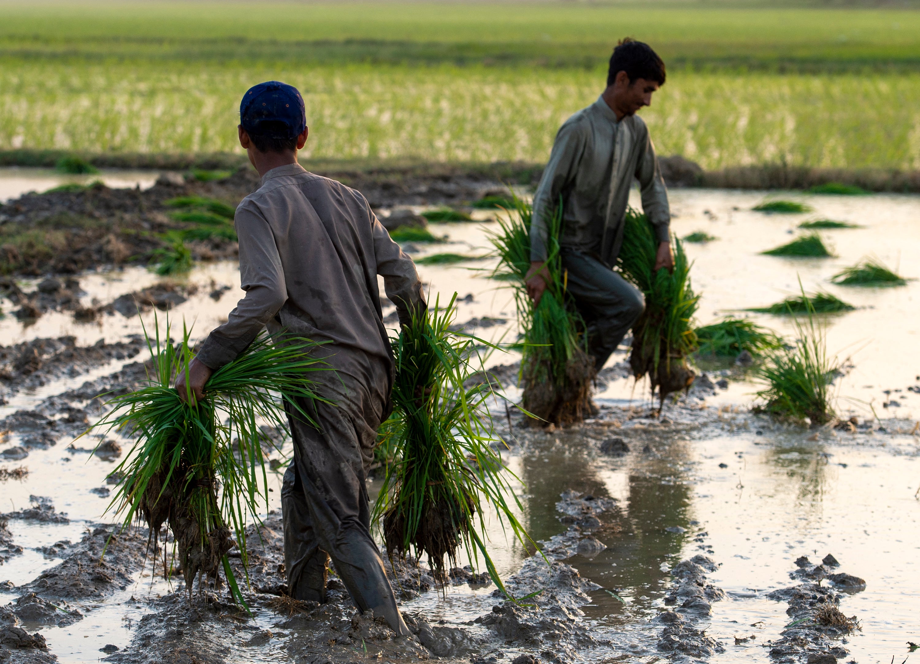 The step could involve lowering tariffs on products such as rice from Pakistan and trainers from Nigeria