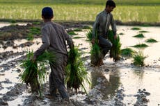 Government to slash red tape for trade with developing countries